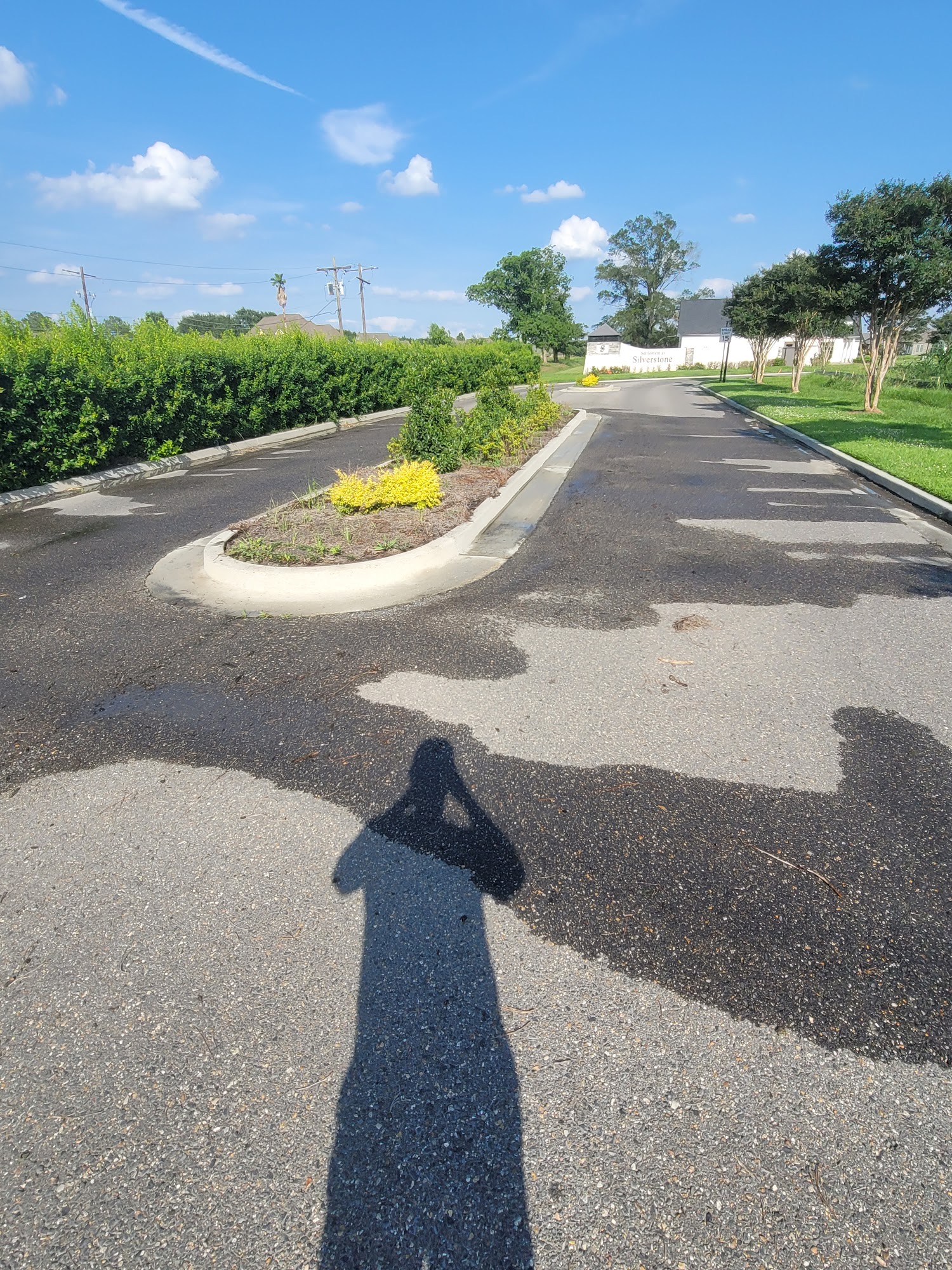 Louisiana Power Washing