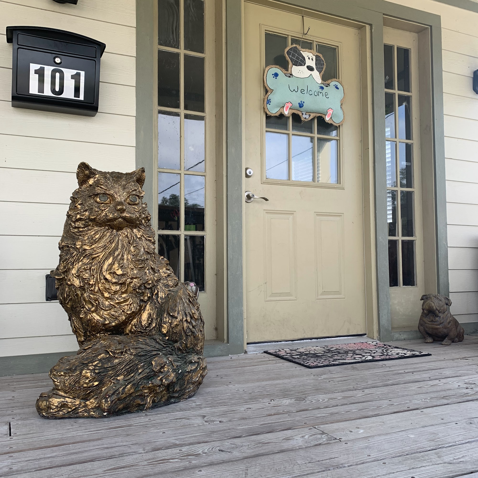 Belle Chasse Animal Hospital, Dr. Stephen Hebert Belle Chasse