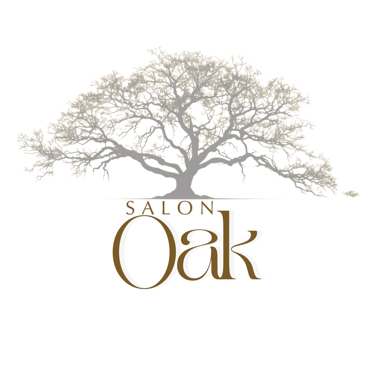 Salon Oak 1454 Woodland Hwy, Belle Chasse Louisiana 70037