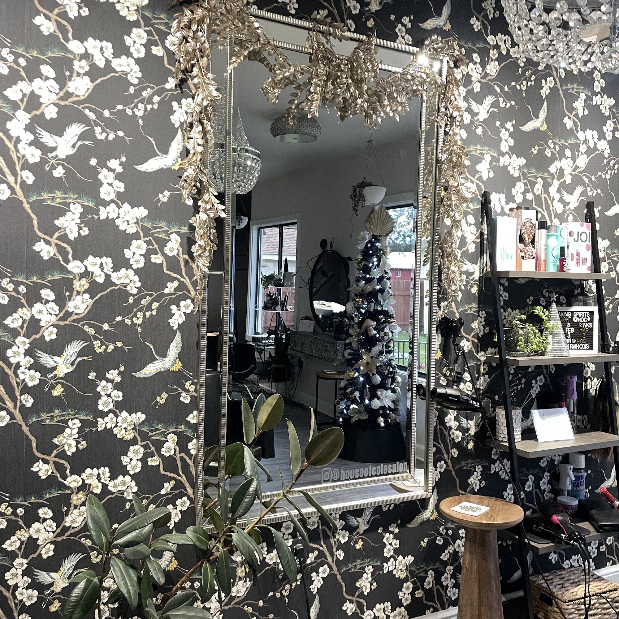 House of Cole Salon 103 Yorke St, Belle Chasse Louisiana 70037