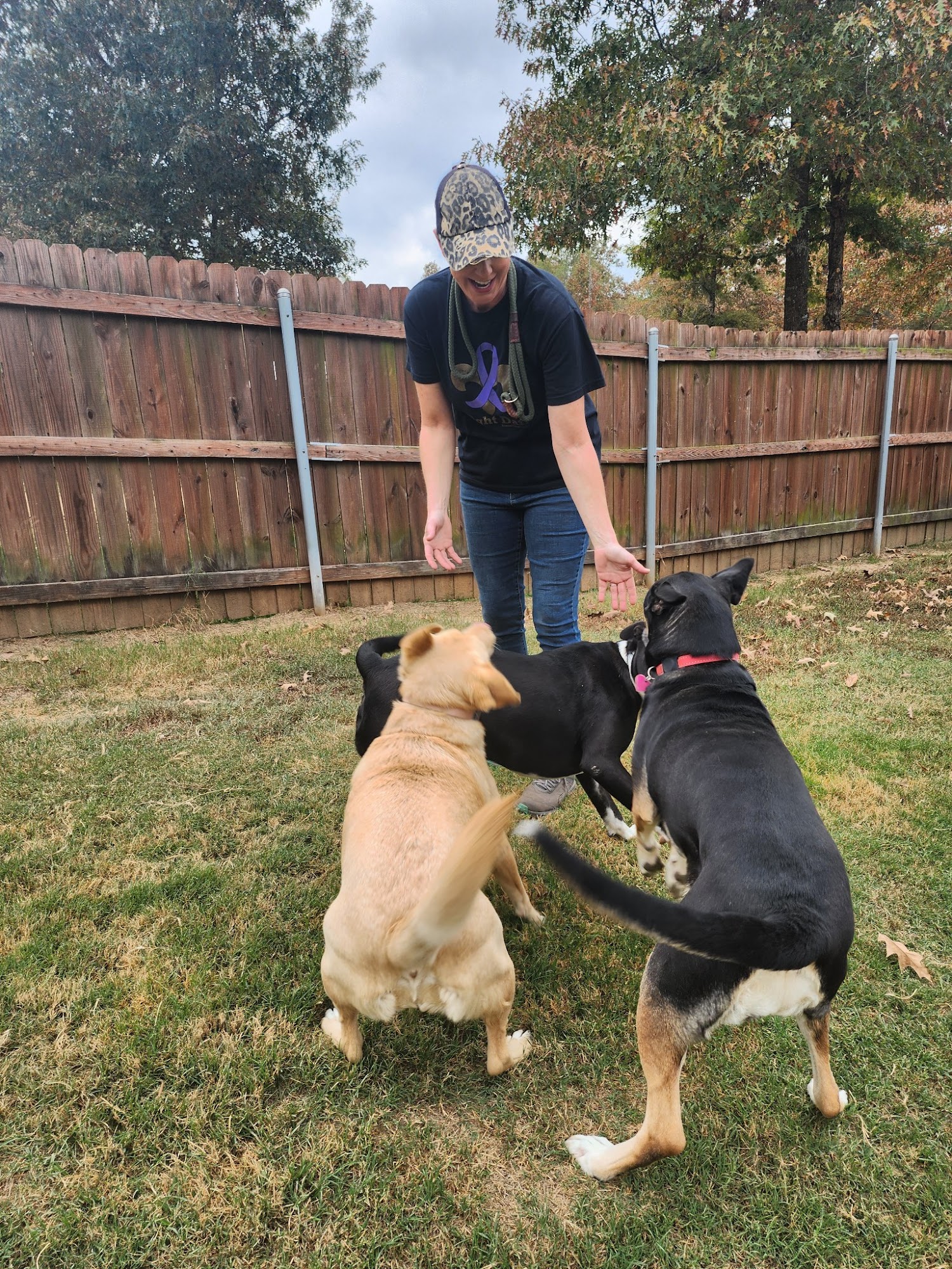 Camp Cypress Dog Retreat Benton