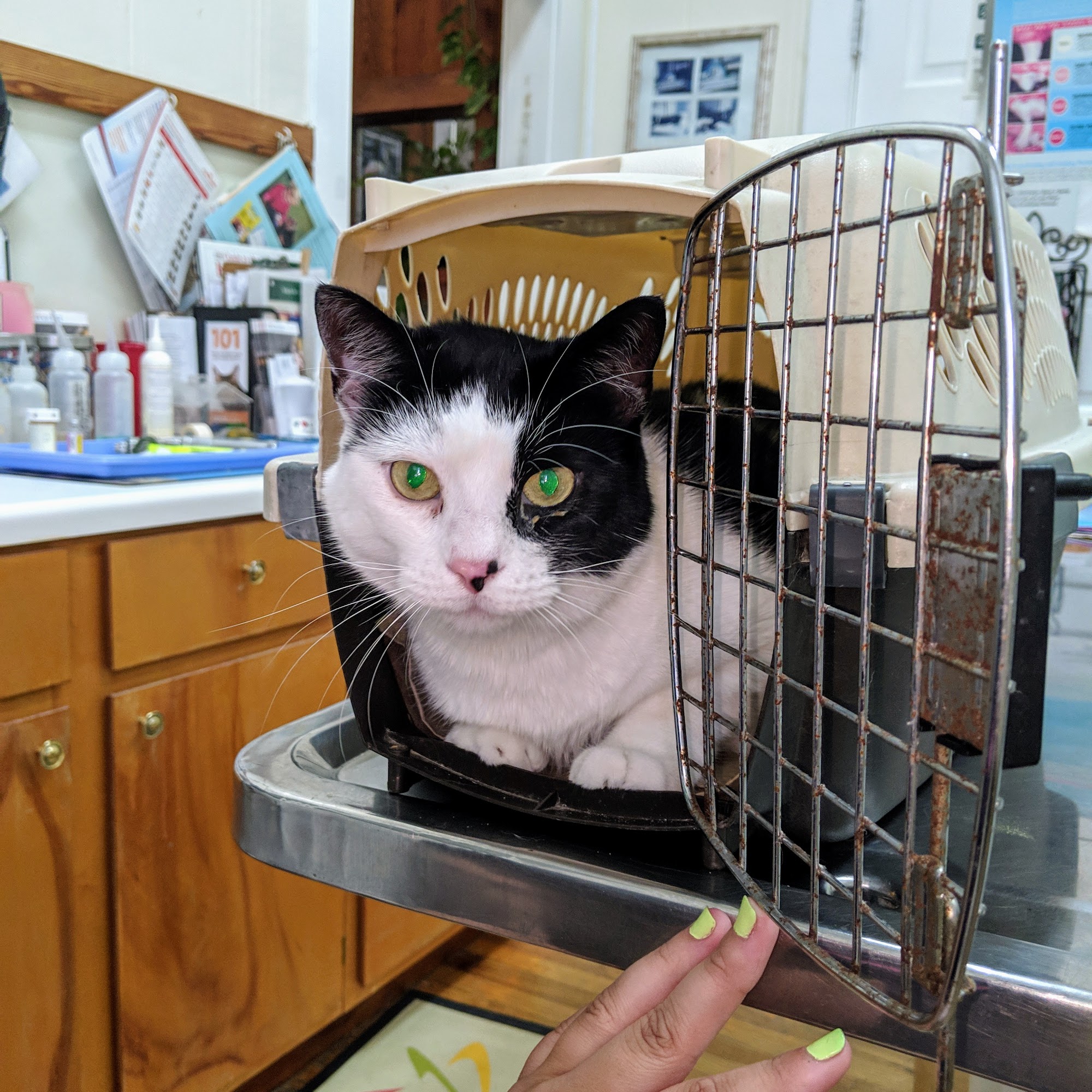 Animal Clinic of Bogalusa Bogalusa