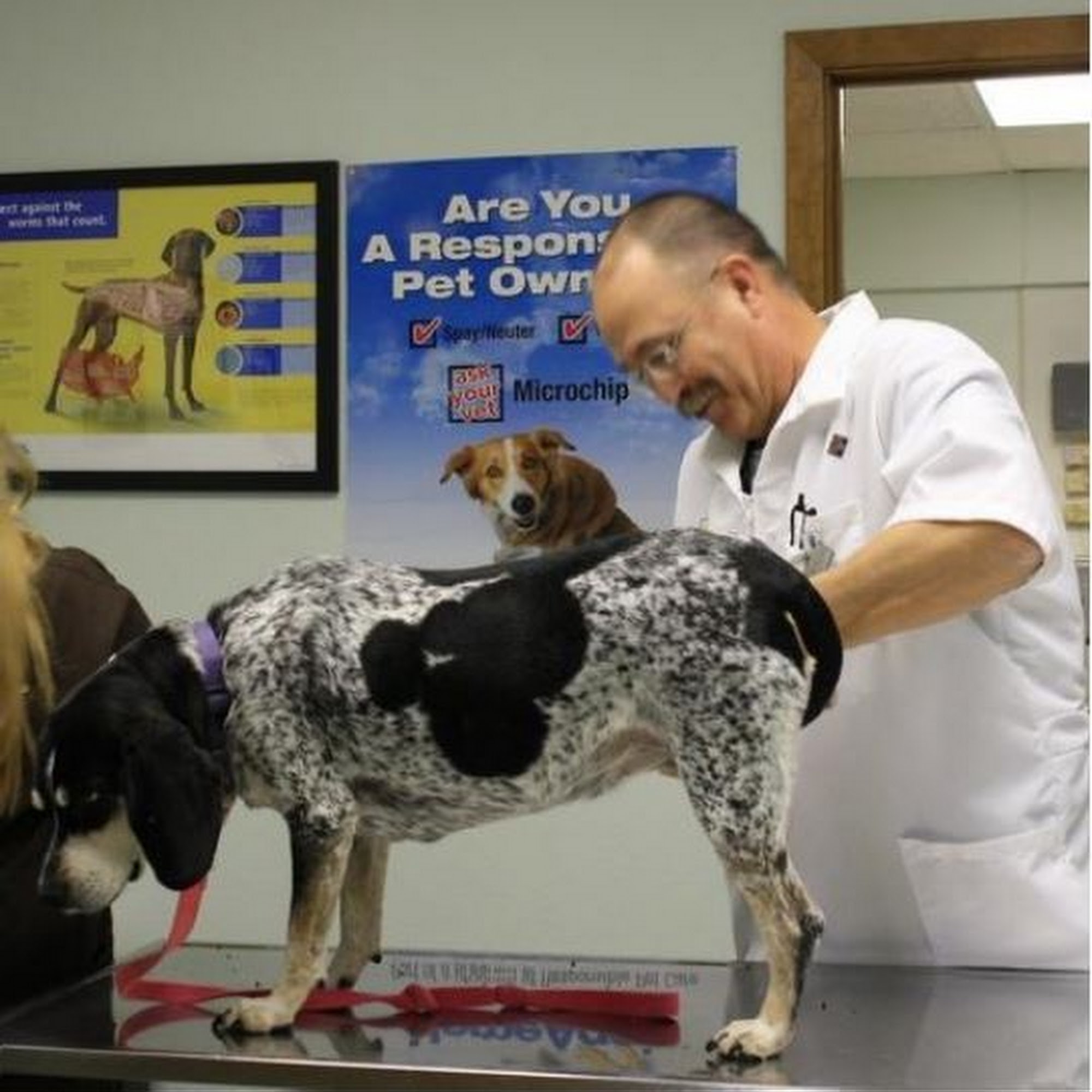 Jimmie Davis Animal Hospital Bossier City