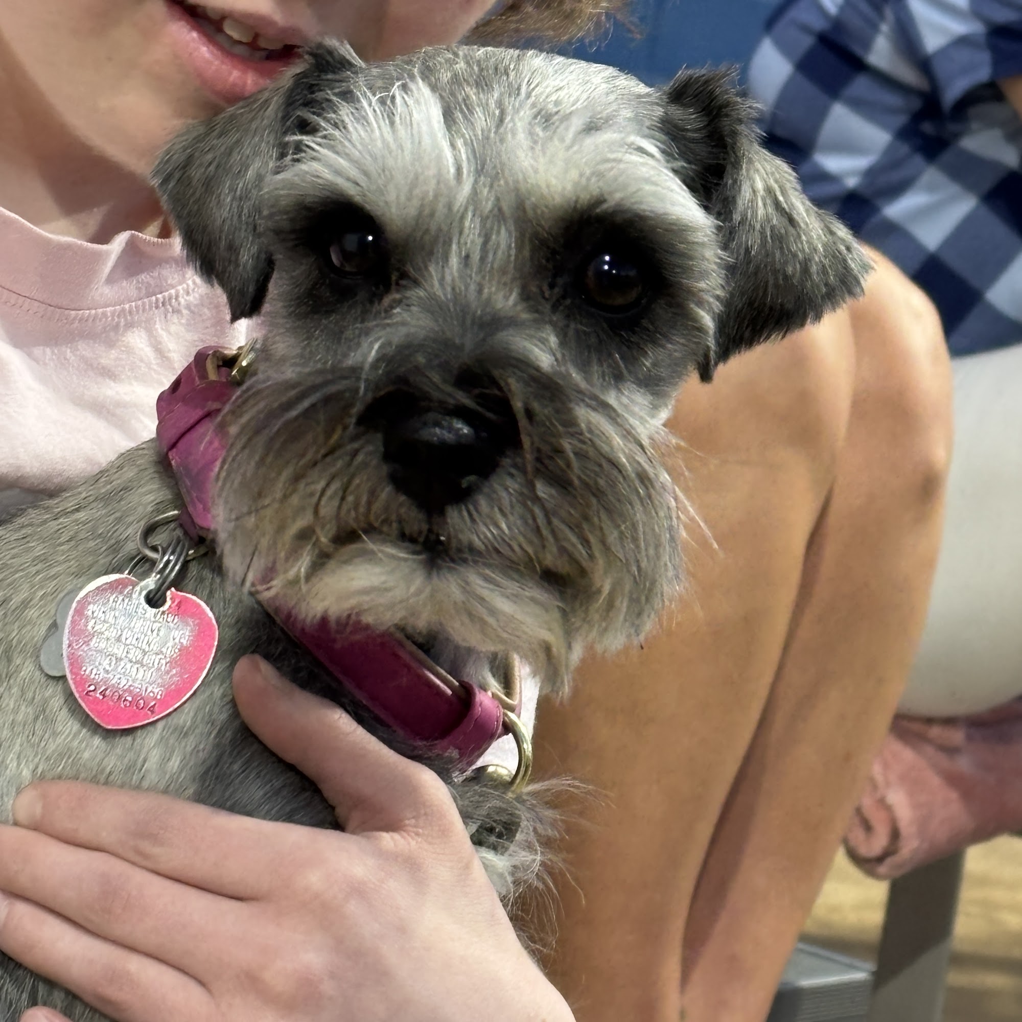 PetStar Animal Care Bossier City