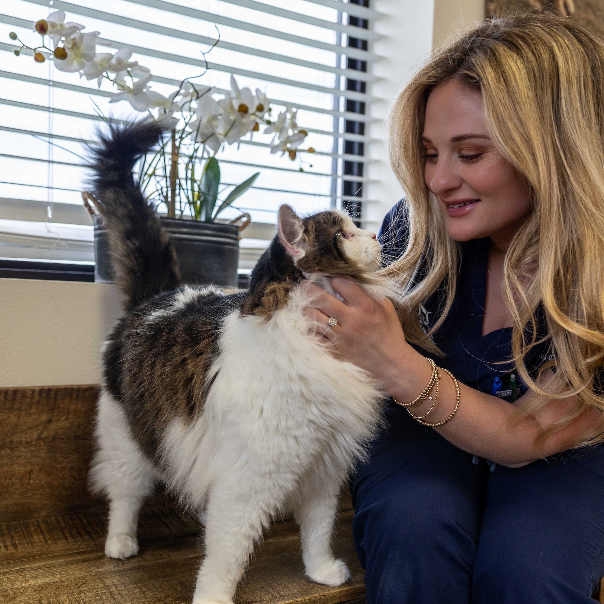 North Airline Animal Hospital Bossier City