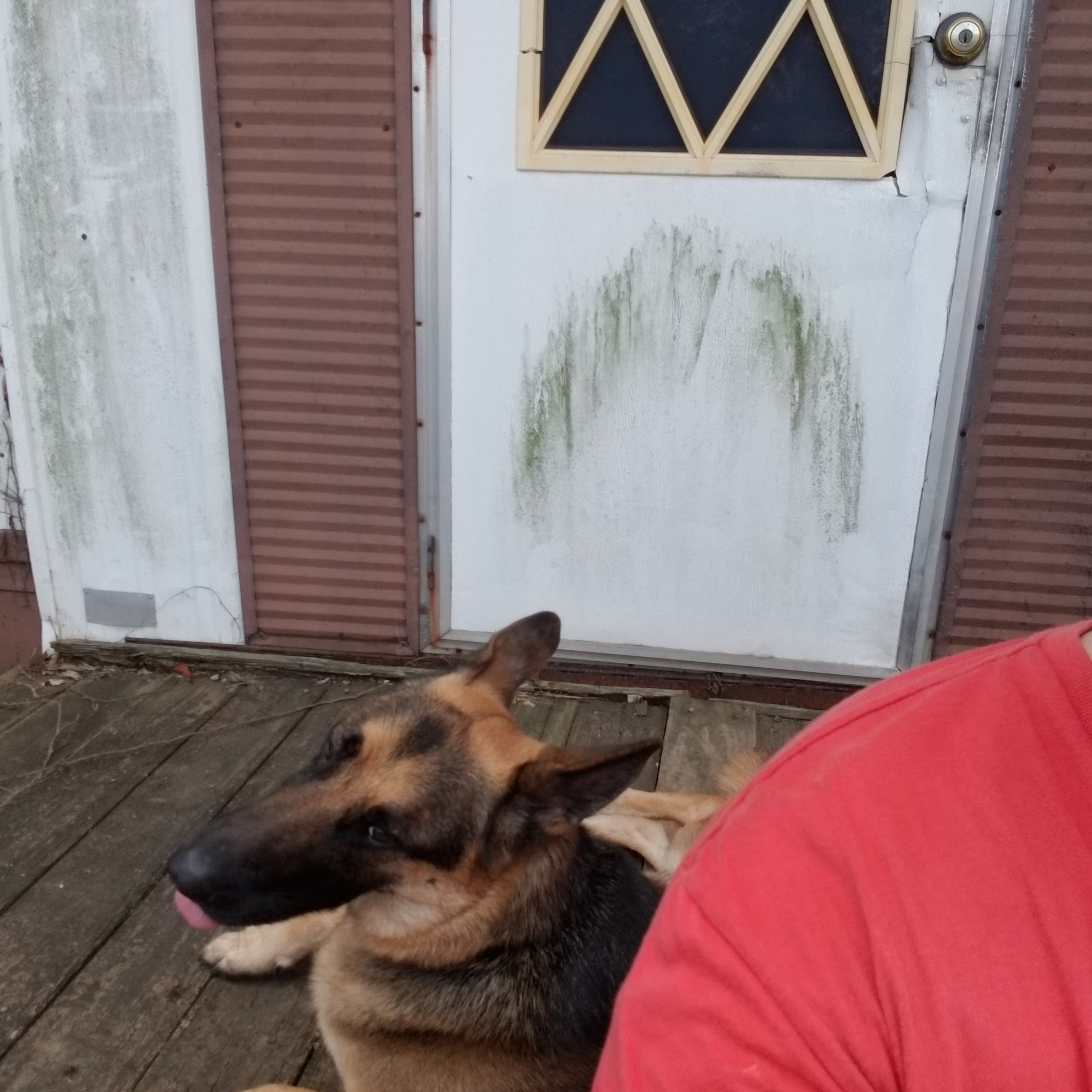 Brian Veterinary Hospital Bossier City