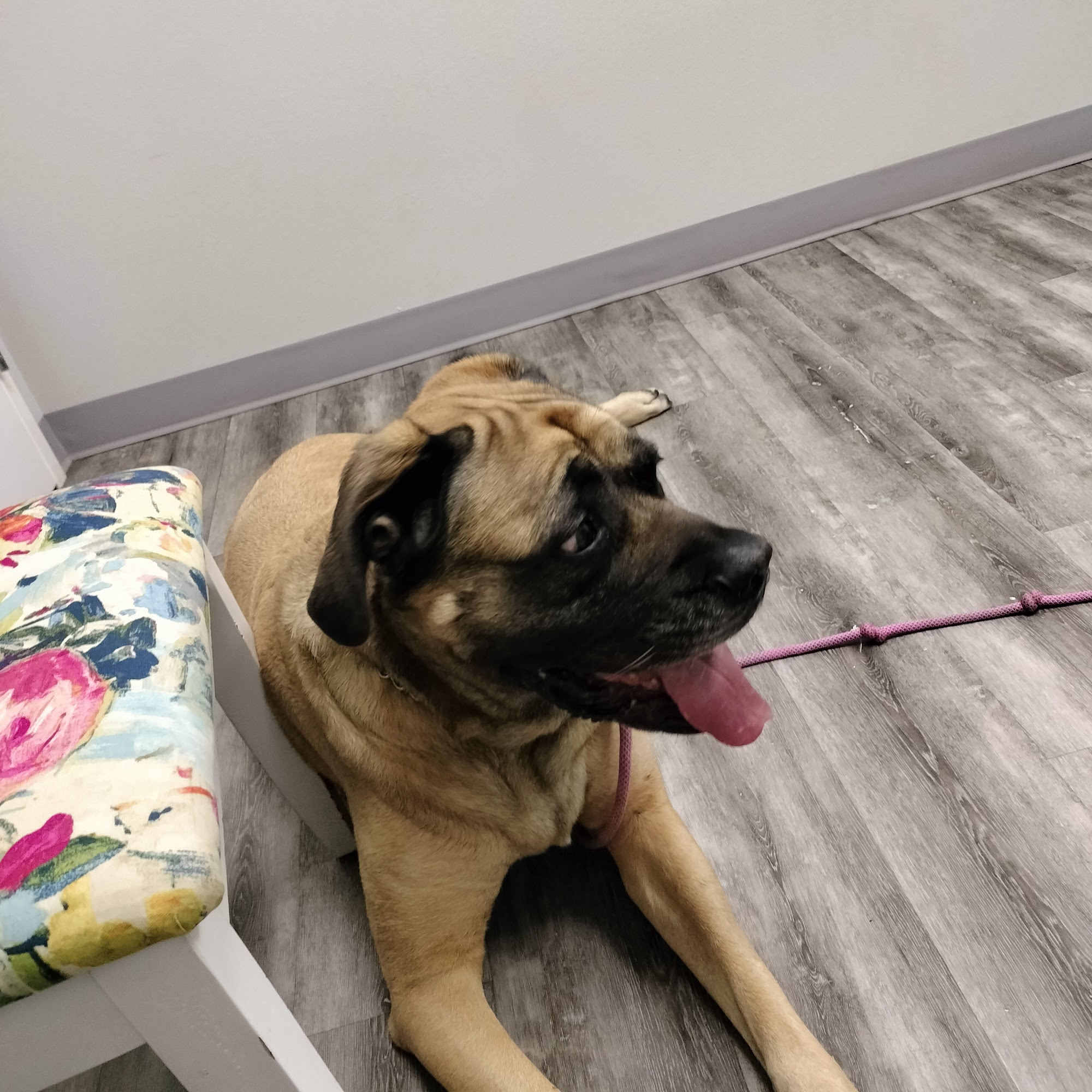 Equine Associates 149 Lafitte Ln, Bossier City Louisiana 71111