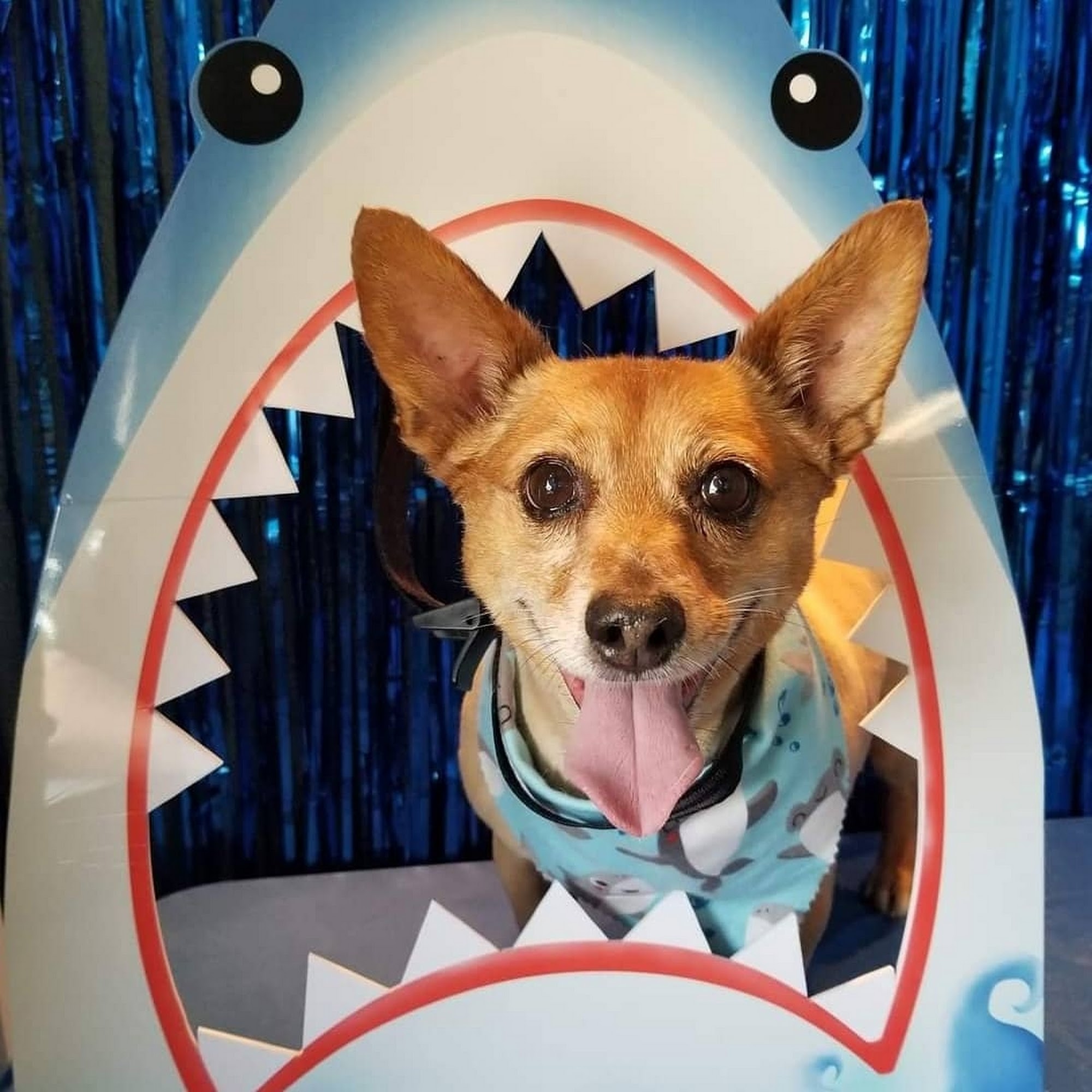 Howling Hotel & Spa Bossier City