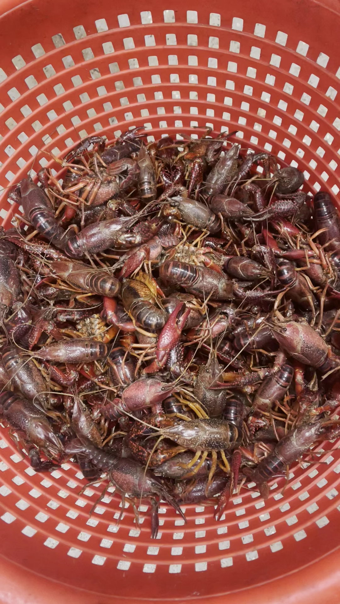 Royal Seafood Mart Menu