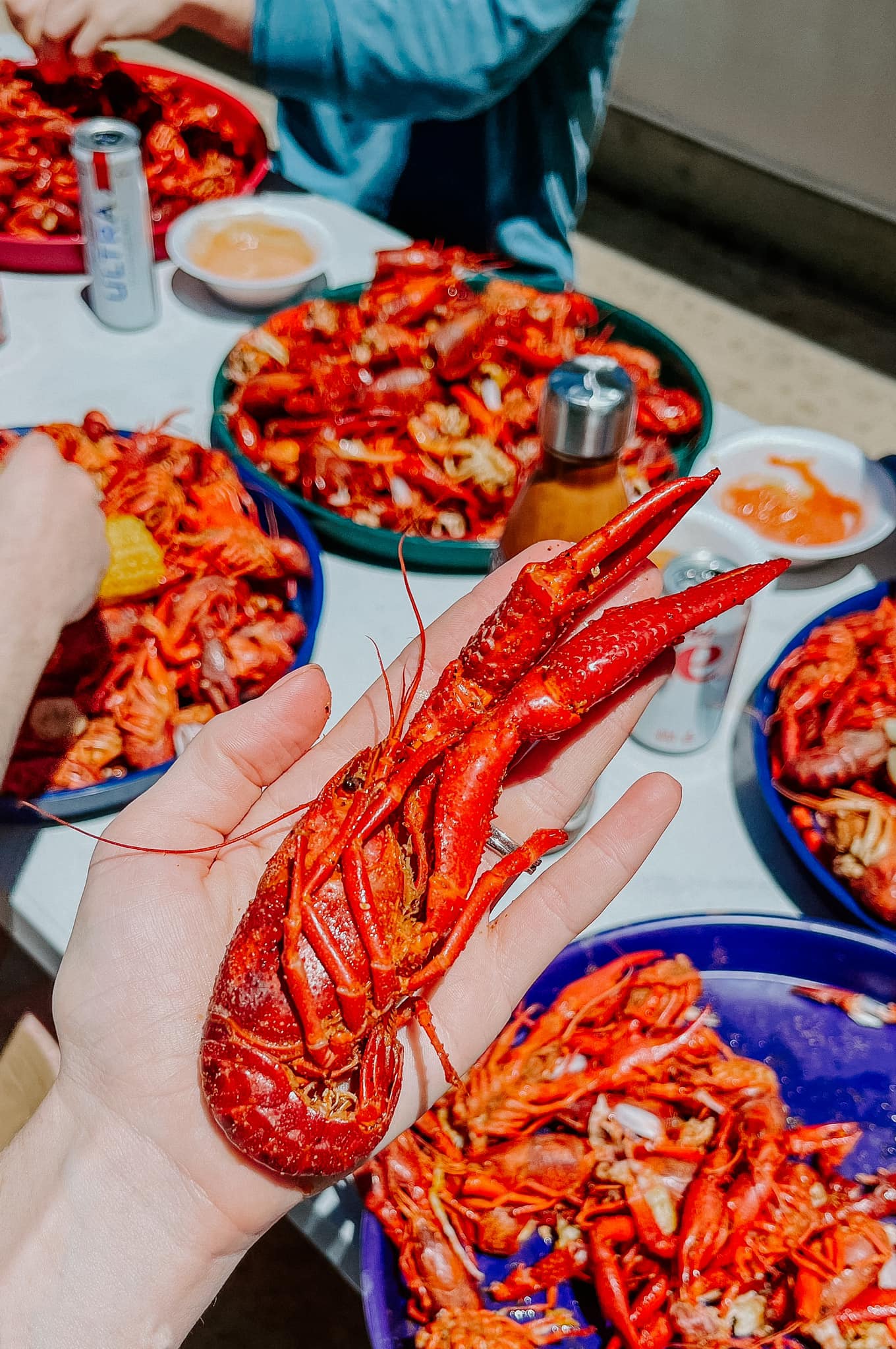 Sylvester Crawfish Processors