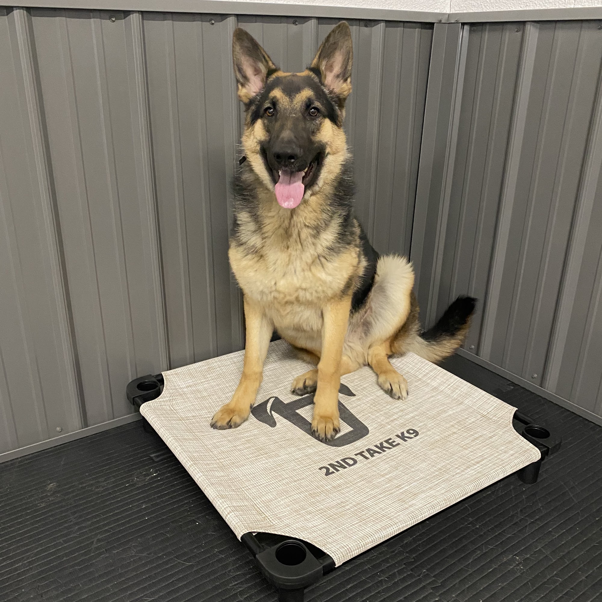 2nd Take K9 Calhoun