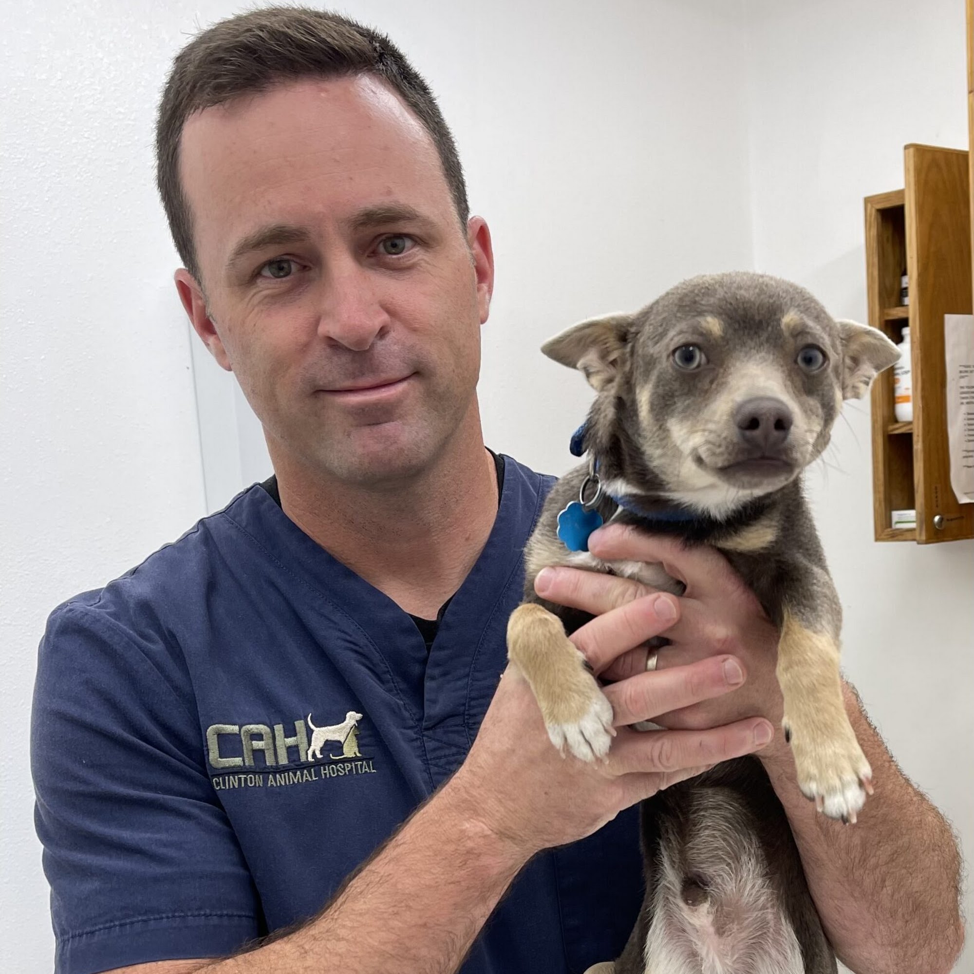 Clinton Animal Hospital Clinton