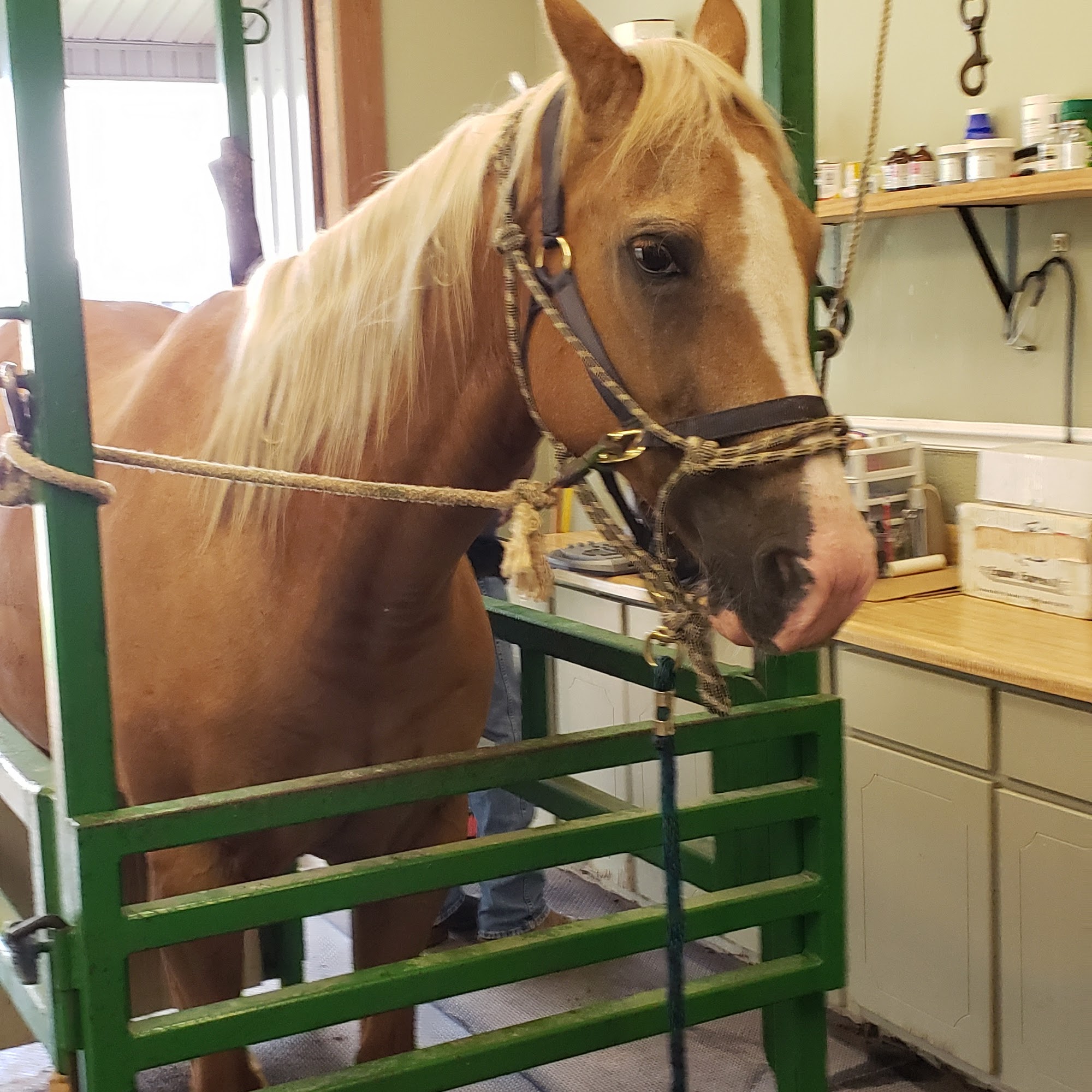 Greene, Lewis & Associates, INC. Covington