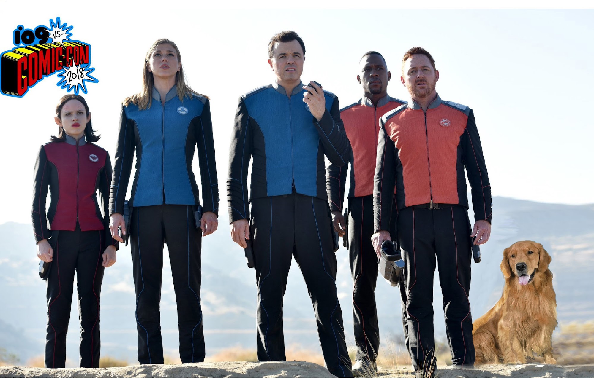 J C M's Dog Training Covington