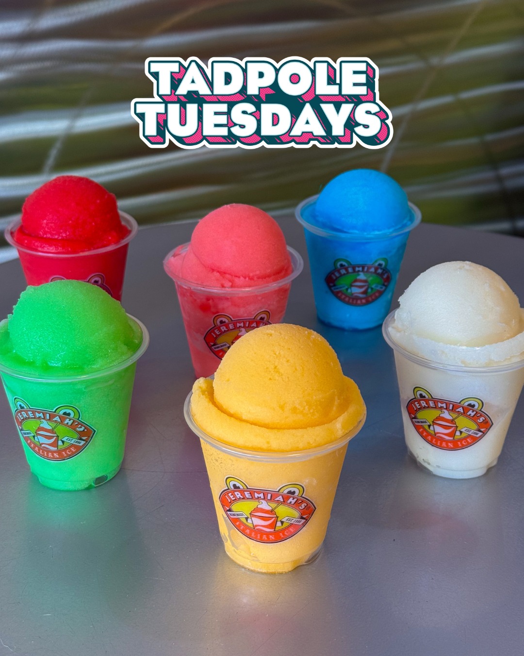 Jeremiah's Italian Ice Covington