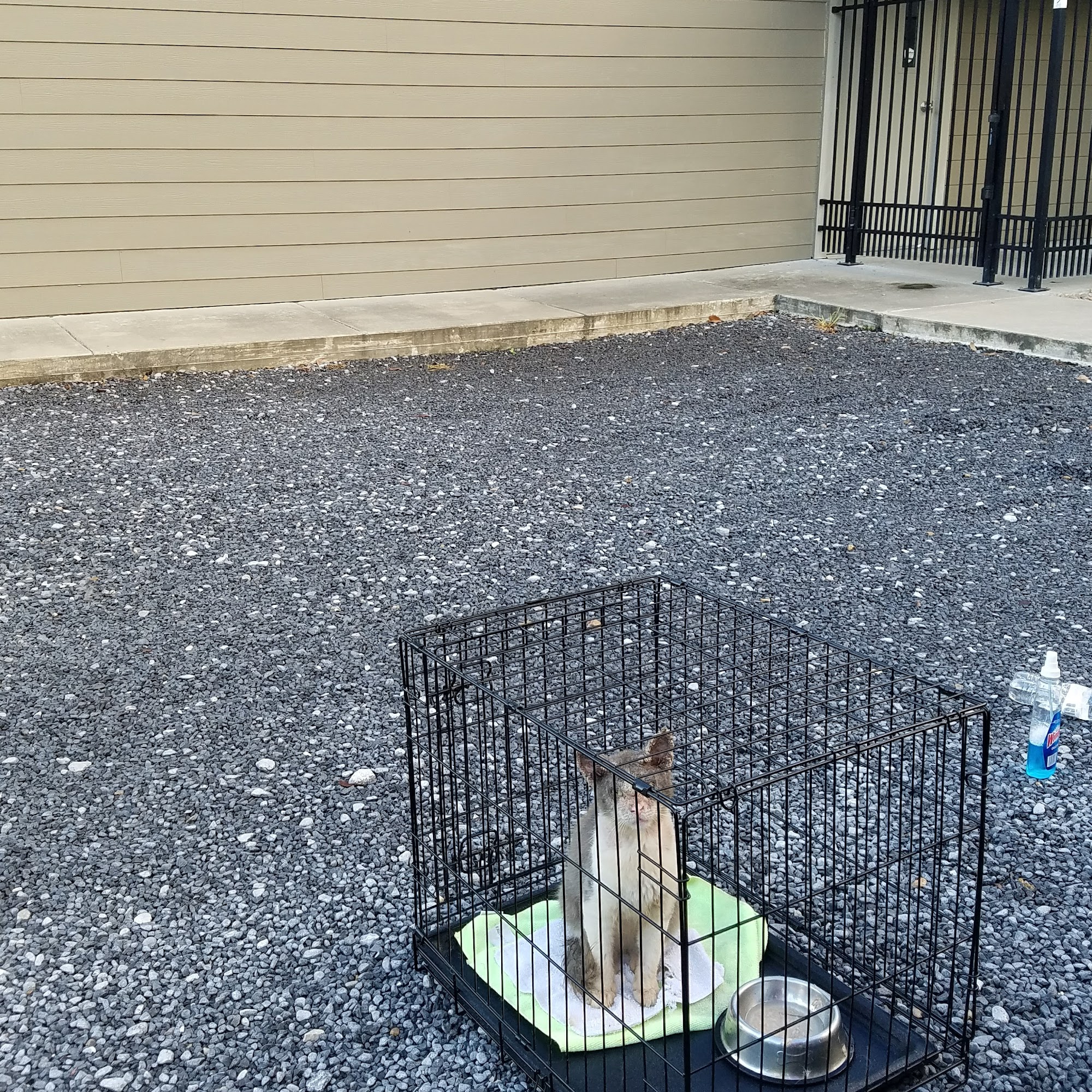 Crowley Veterinary Hospital: Mcgee Brooke DVM Crowley