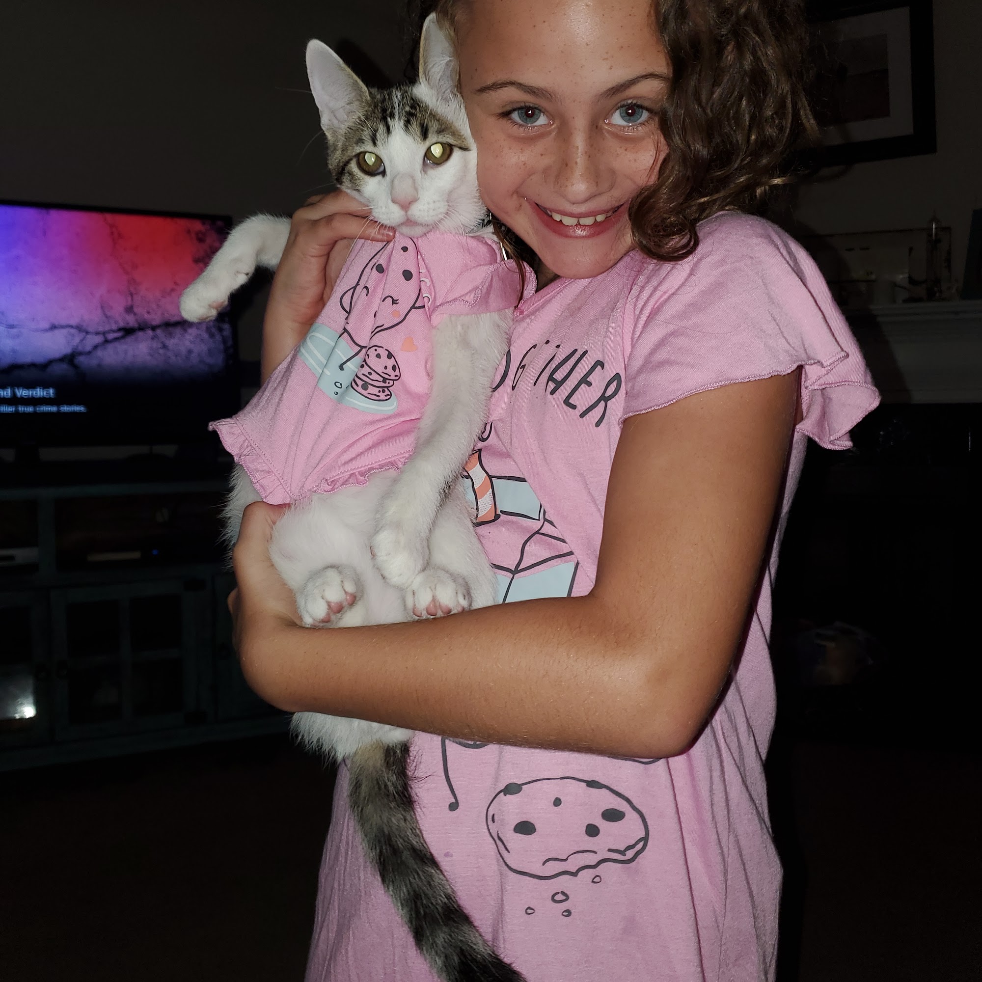 Denham Springs Animal Hospital Denham Springs