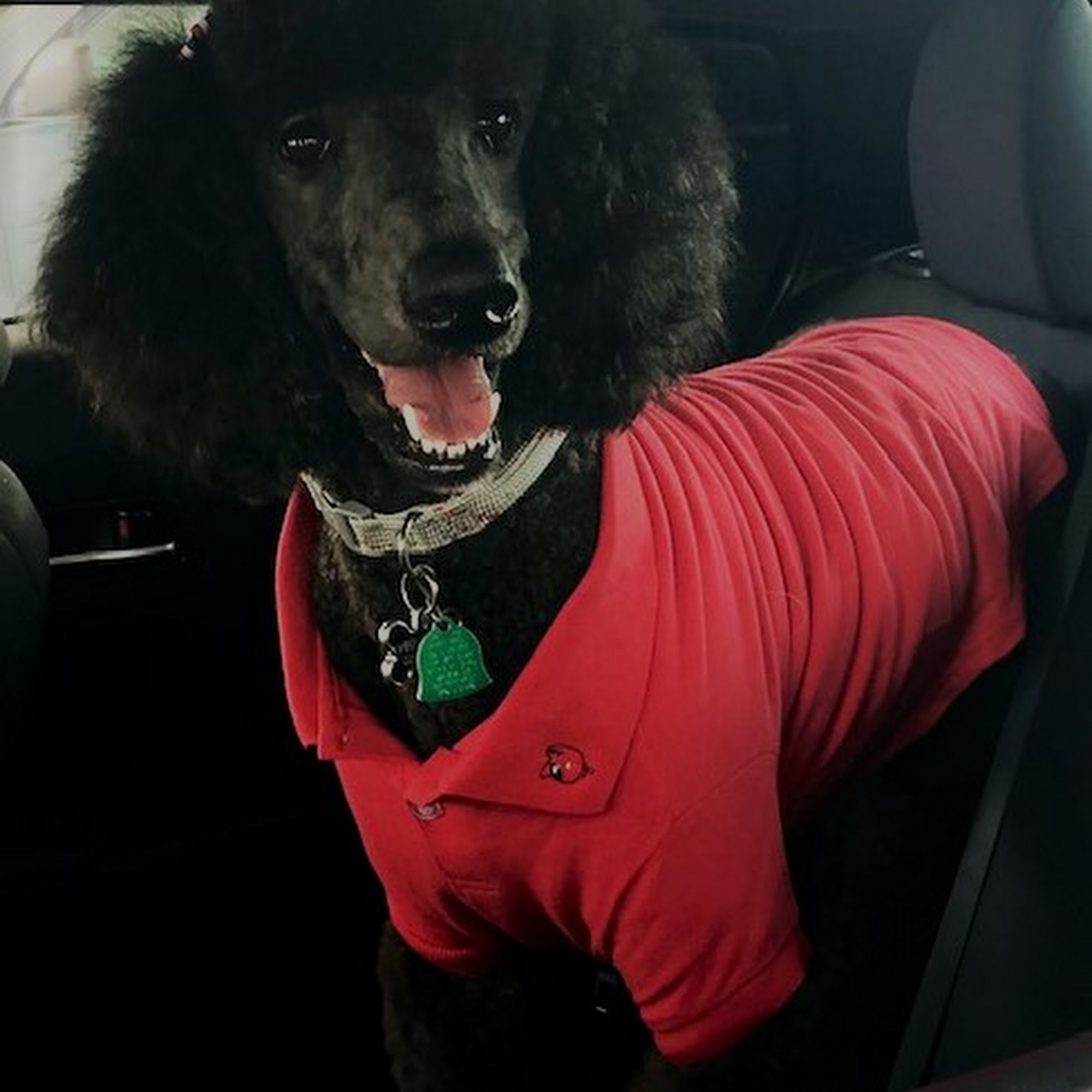 Off The Chain Denham Springs