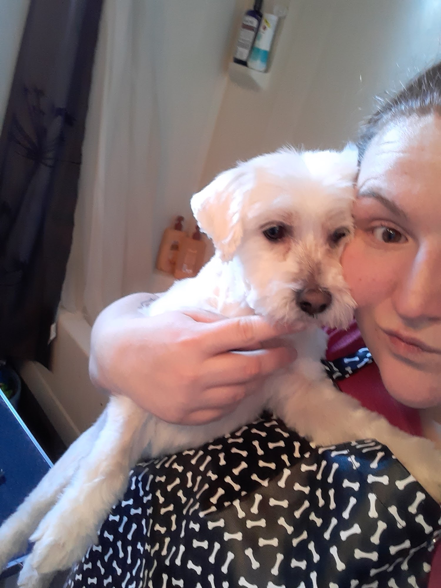 Bark Avenue Pet Salon & Boarding Denham Springs