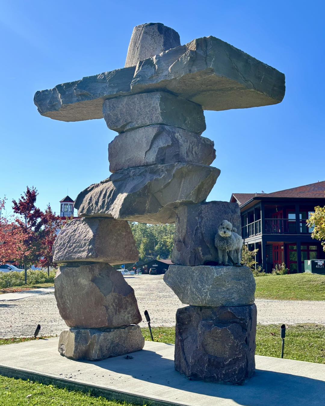 Sit Pretty Dog Grooming by Amanda Denham Springs