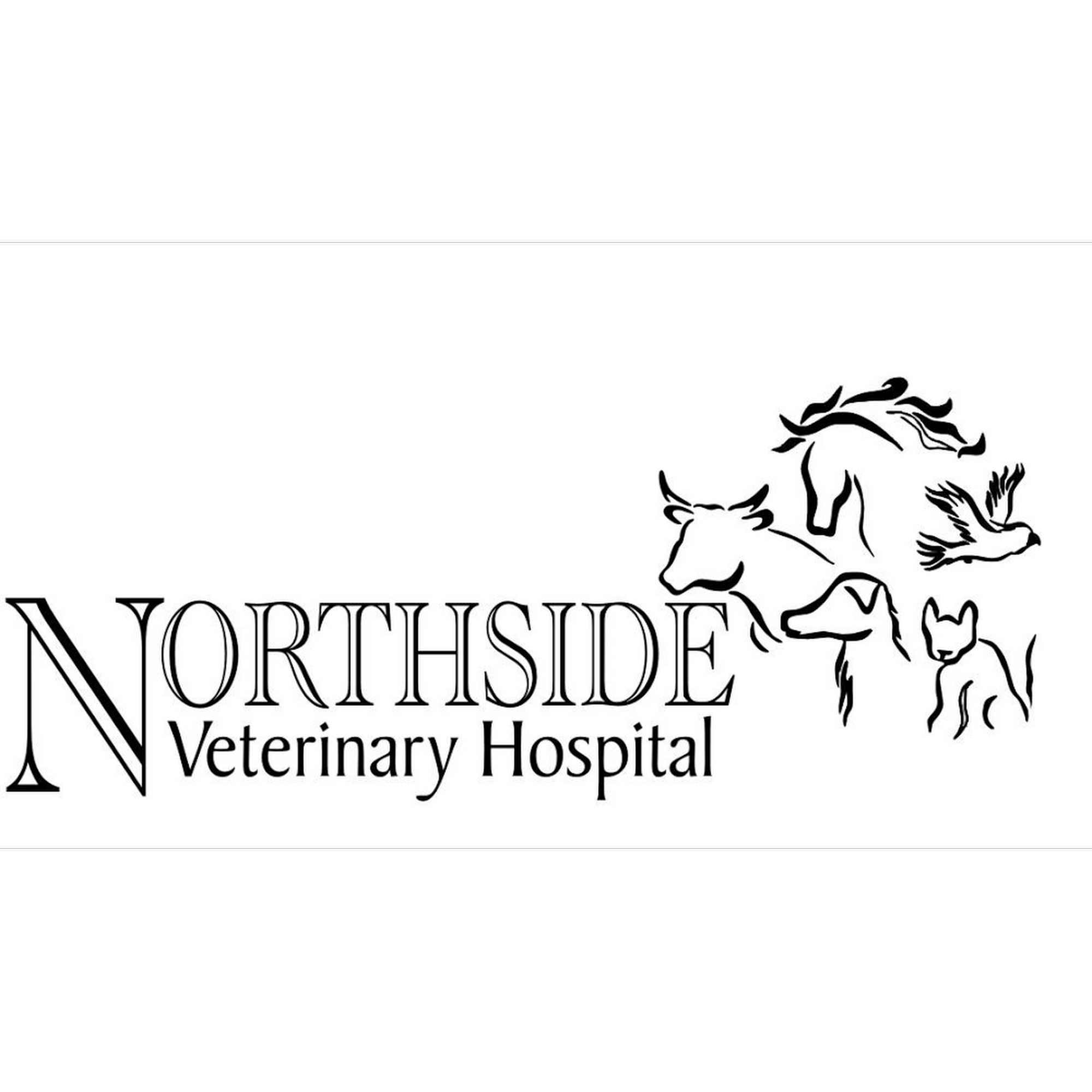 Tim Deshotel, DVM Eunice