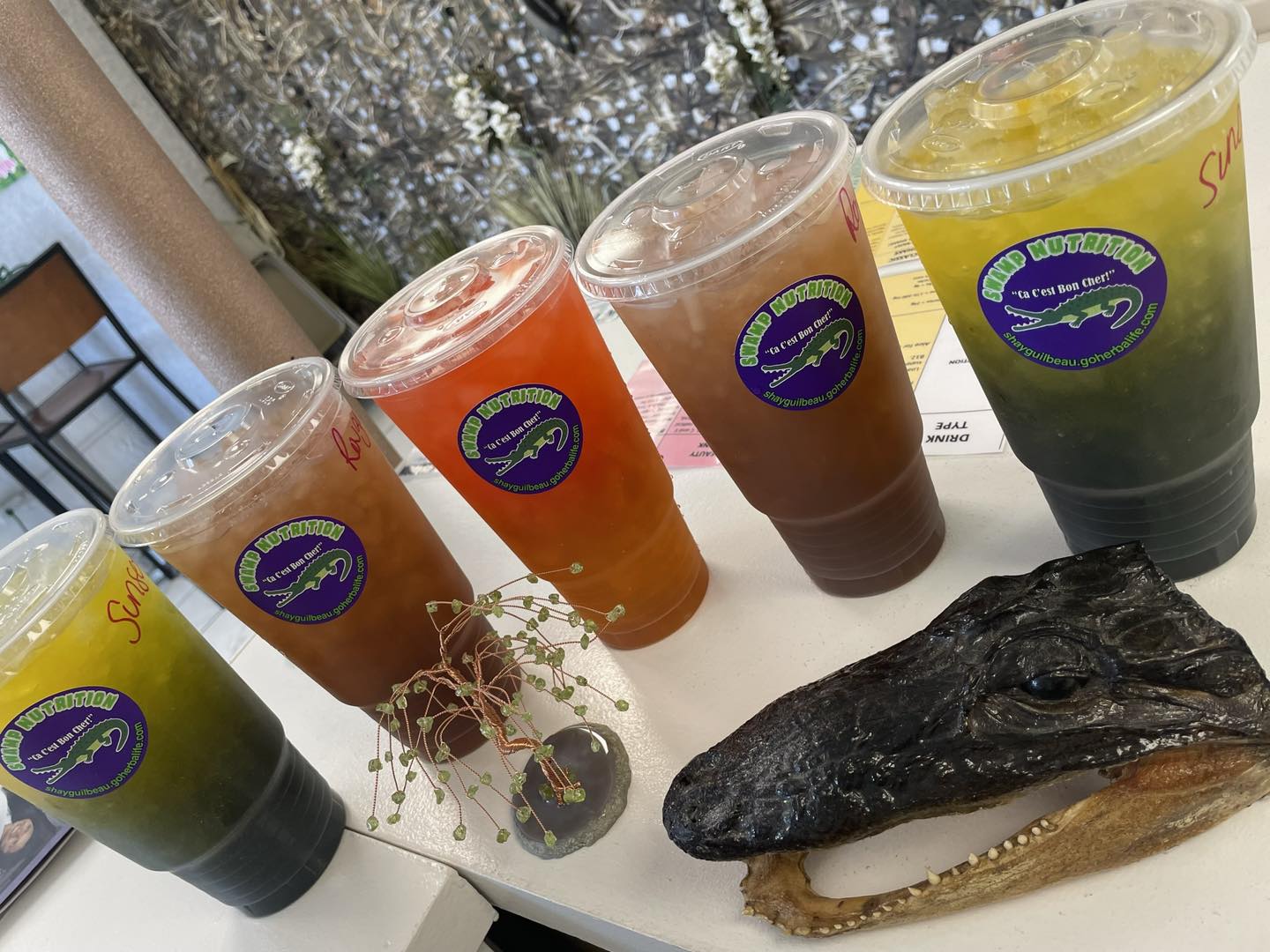 Swamp Nutrition and Energy