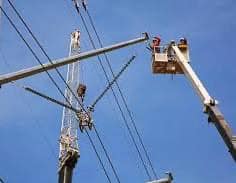 Swamp Nutrition and Energy