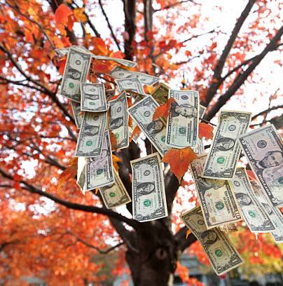 Eunice Financial Services Inc