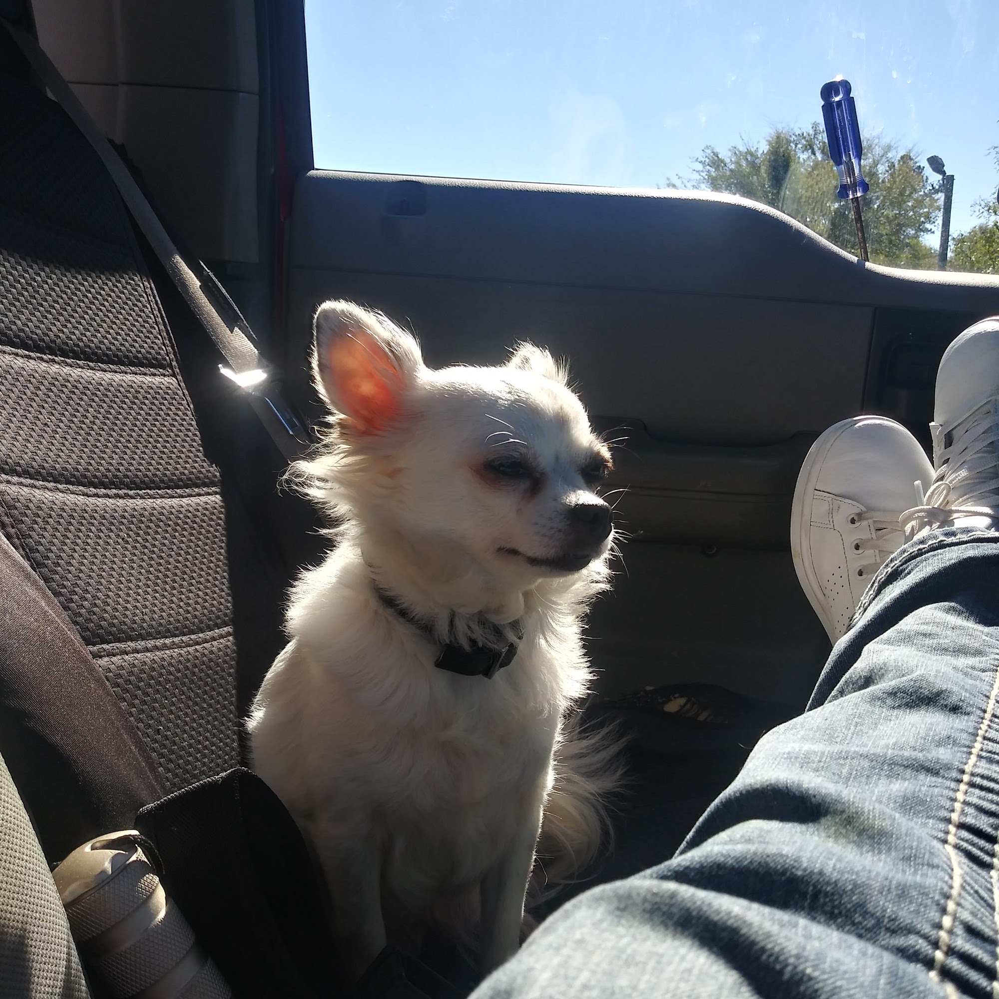 Union Veterinary Clinic Farmerville