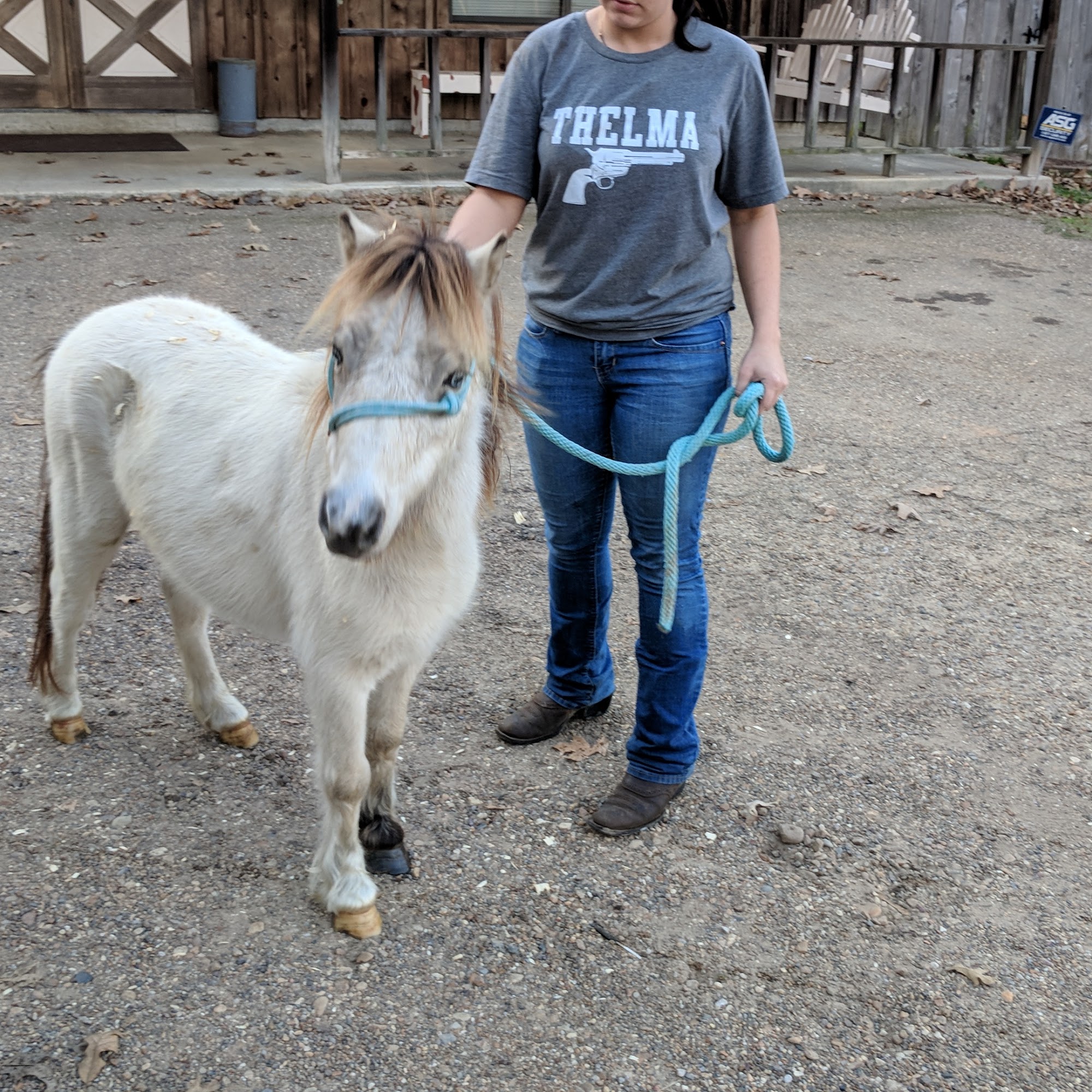 Odom Veterinary Hospital Farmerville