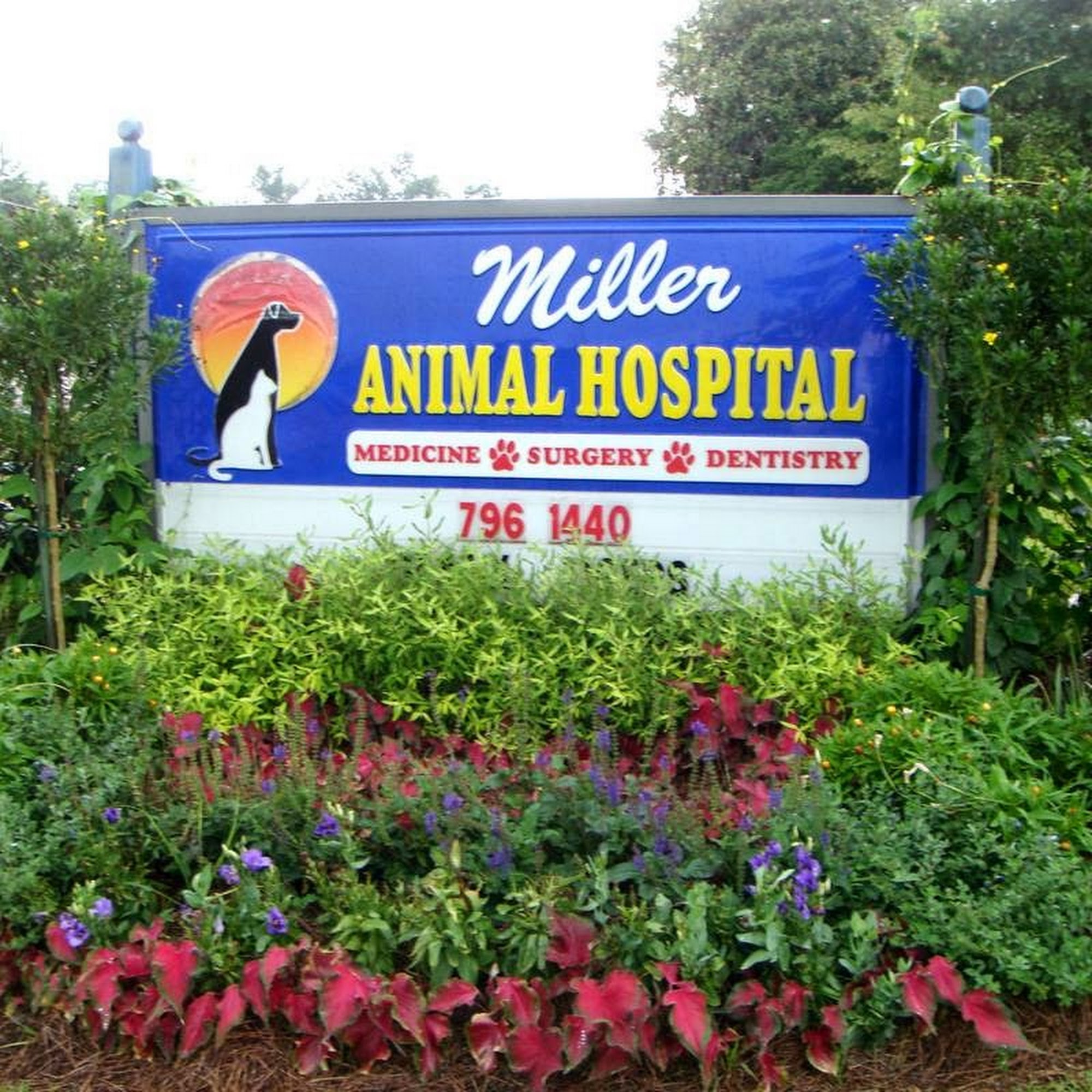 Miller Animal Hospital Folsom Louisiana Folsom