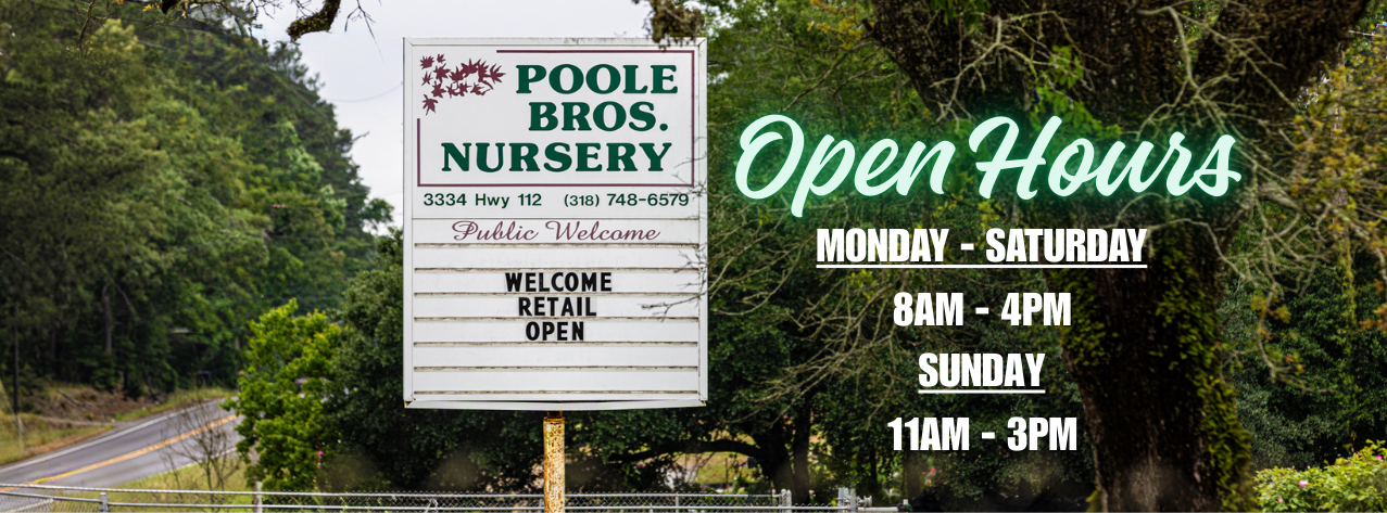 Paulk Brothers Nursery