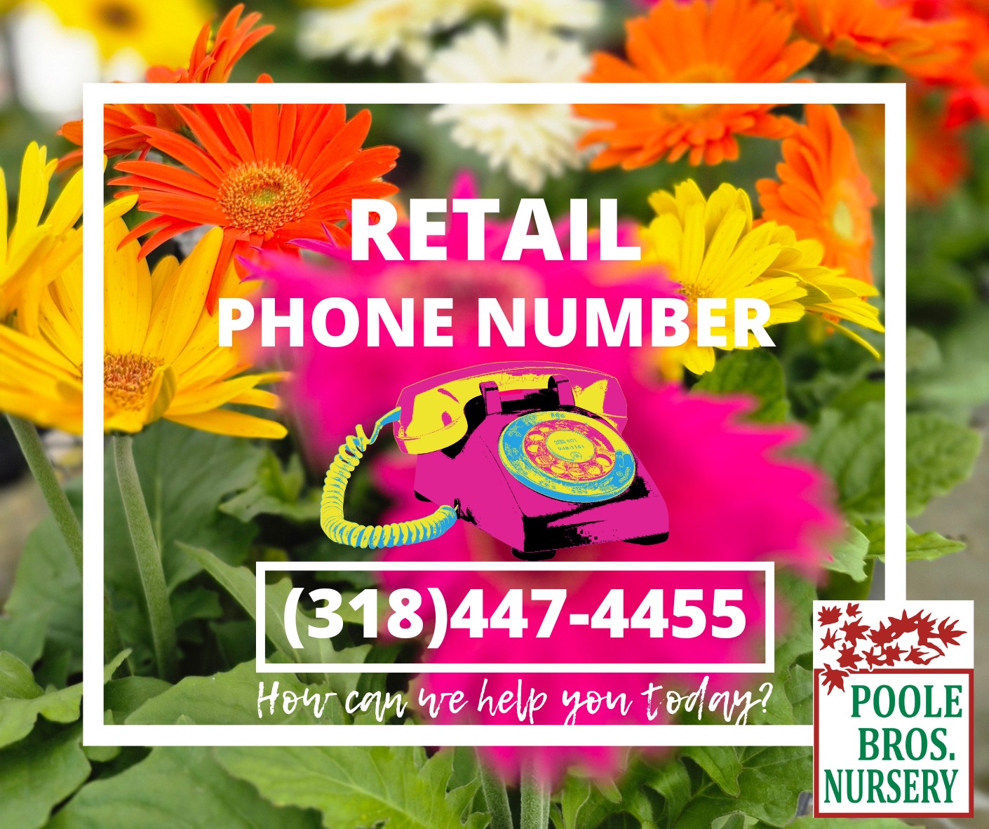 Paulk Brothers Nursery