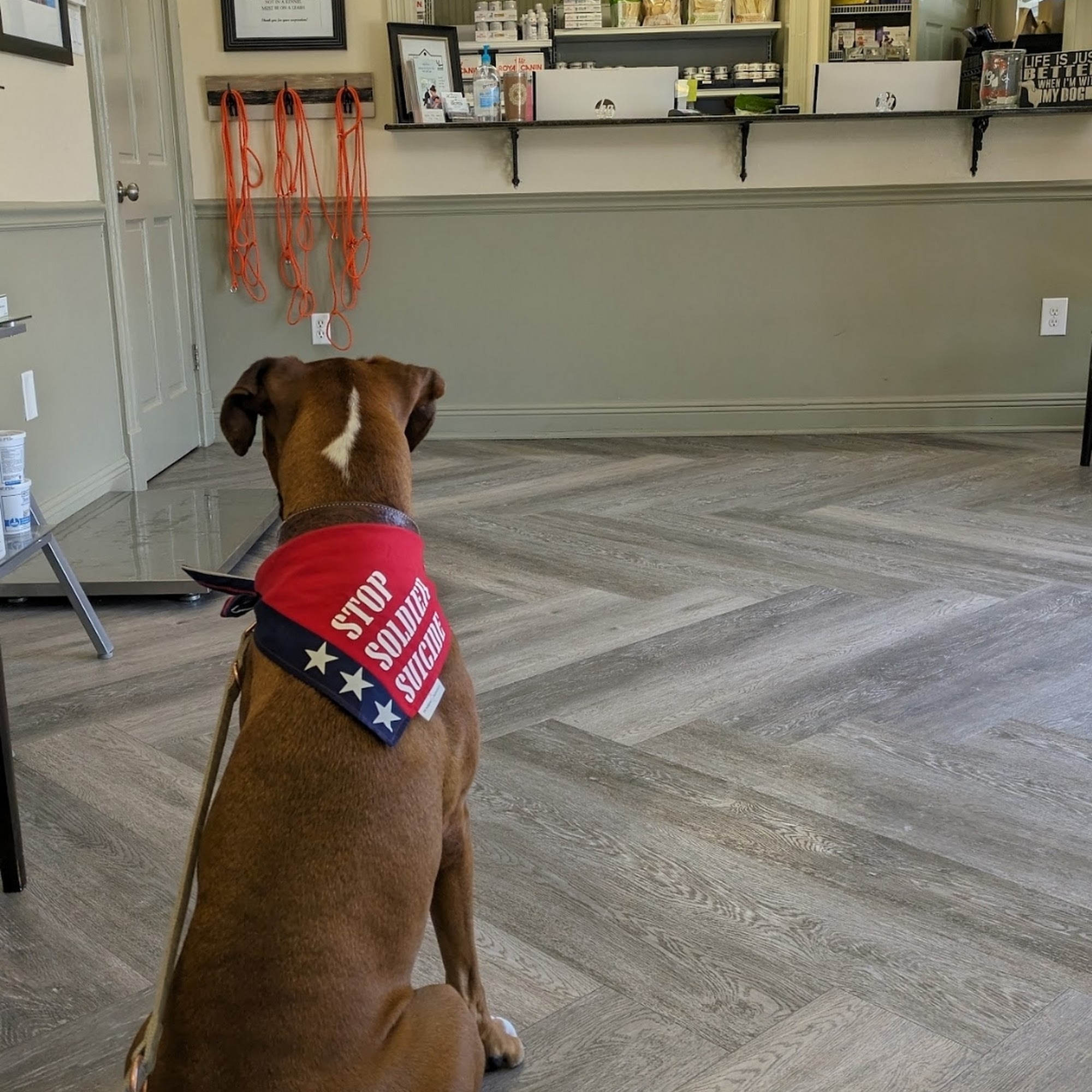 Animal Care Center of Gonzales Gonzales