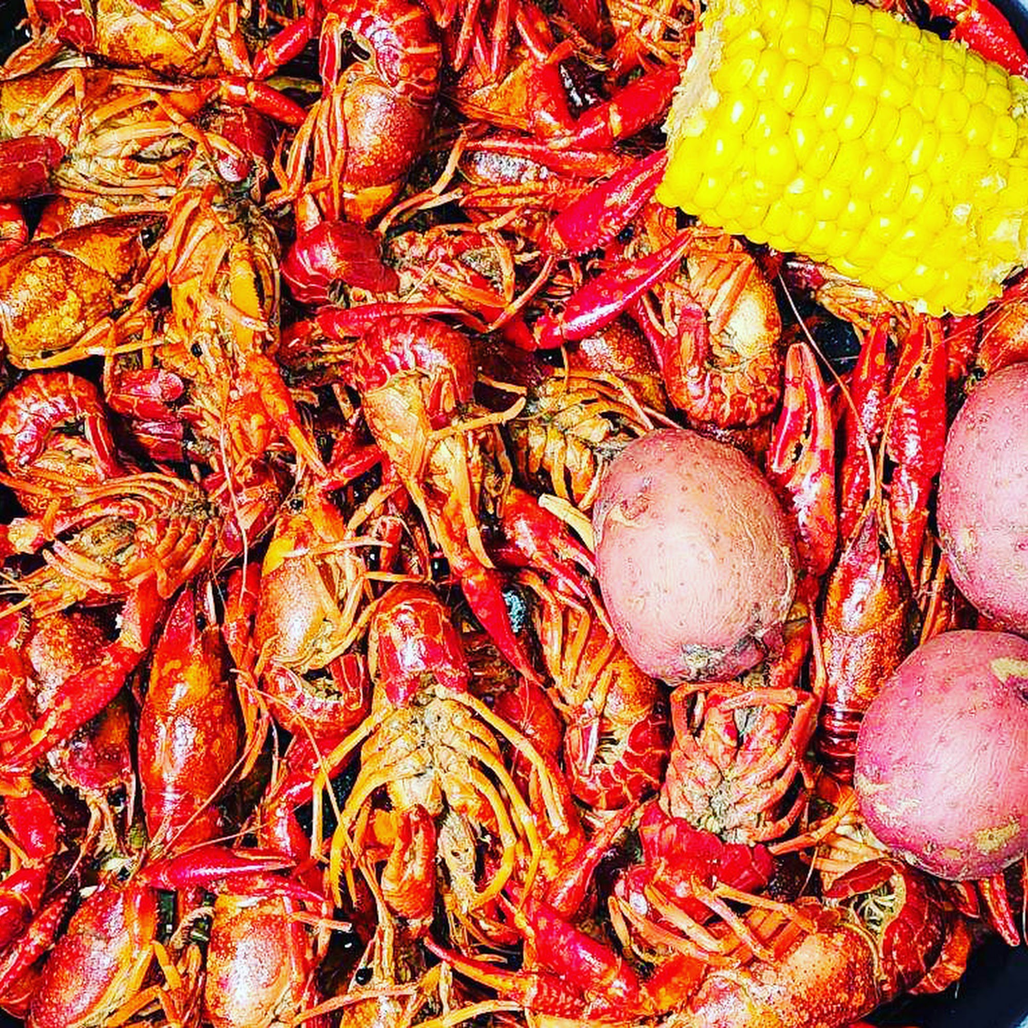 Top Notch Seafood & More Gonzales