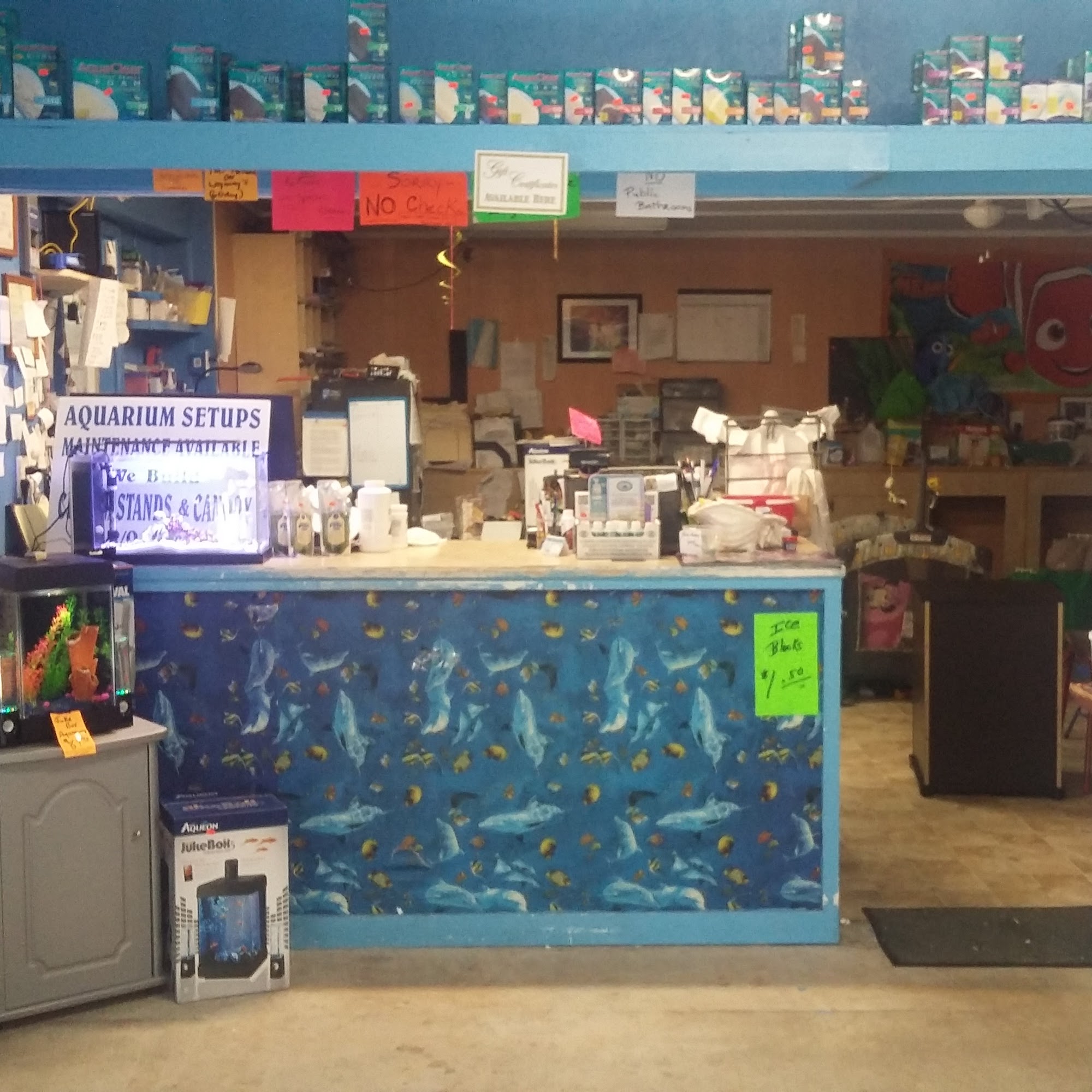 Ken's Tropical Fish Hammond