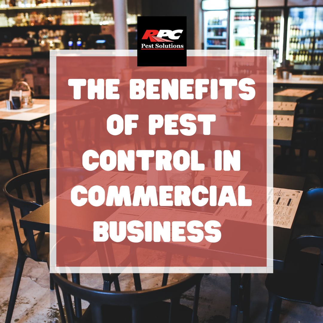 RPC Pest Solutions
