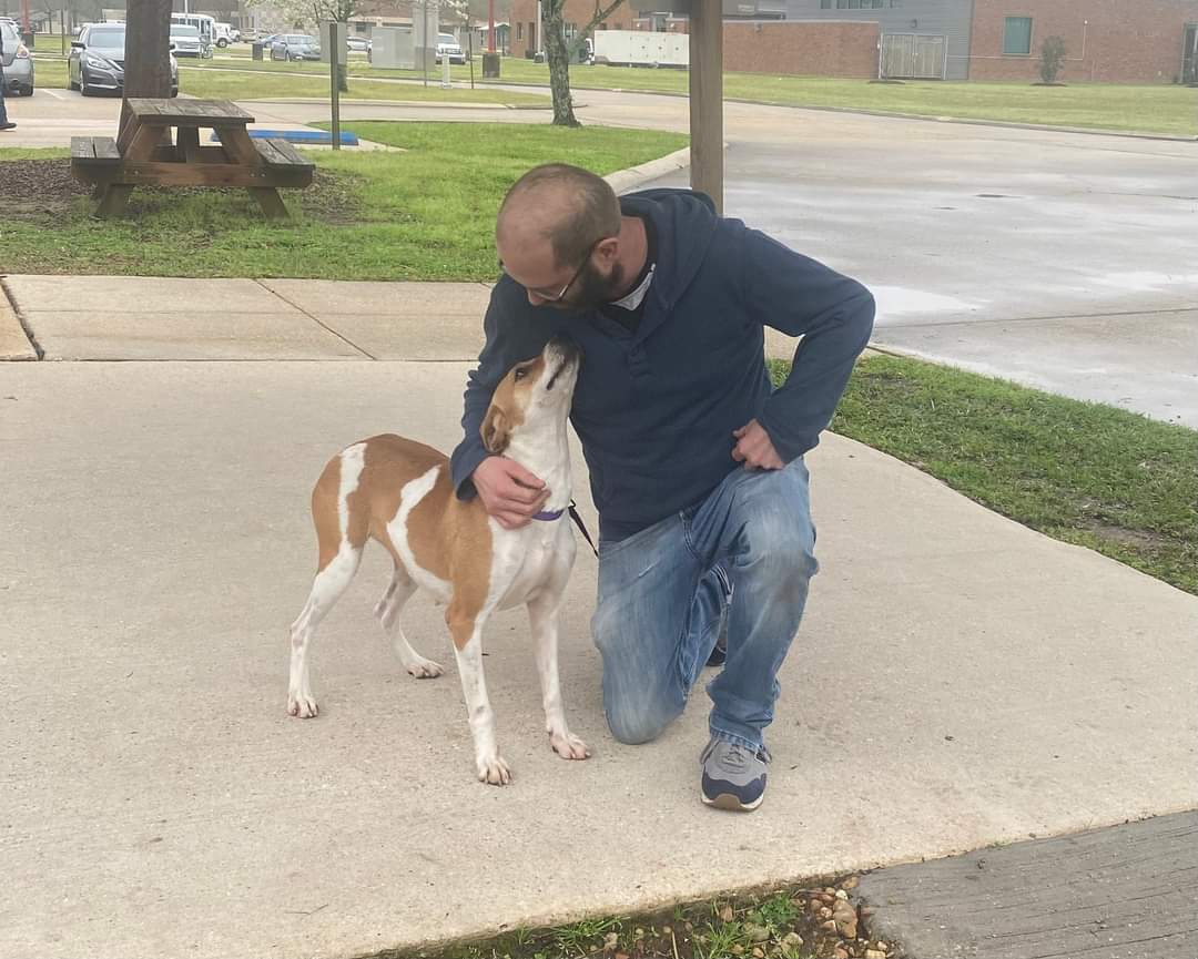 Tangipahoa Parish Animal Services Hammond