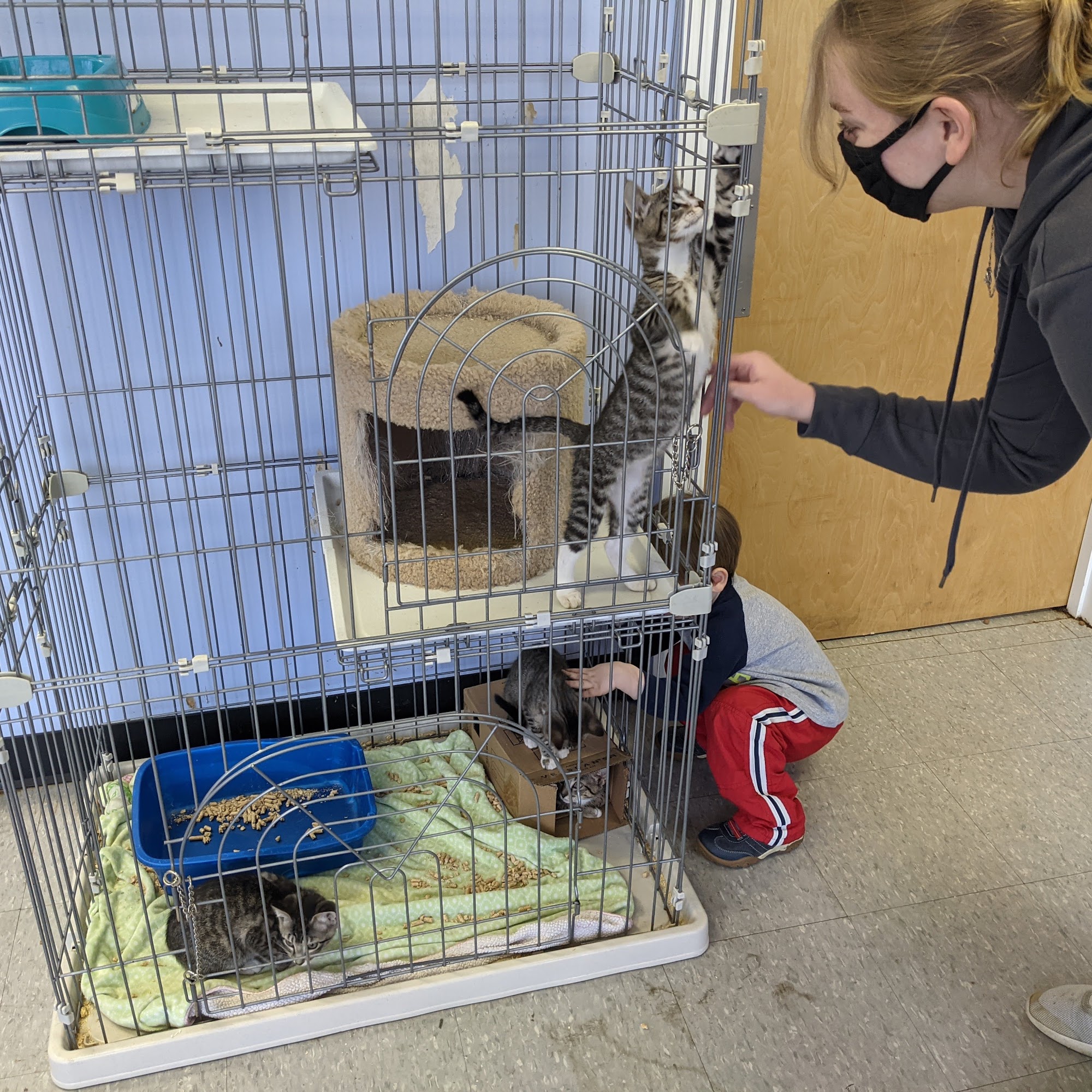 Furry Friends Animal Hospital Harvey