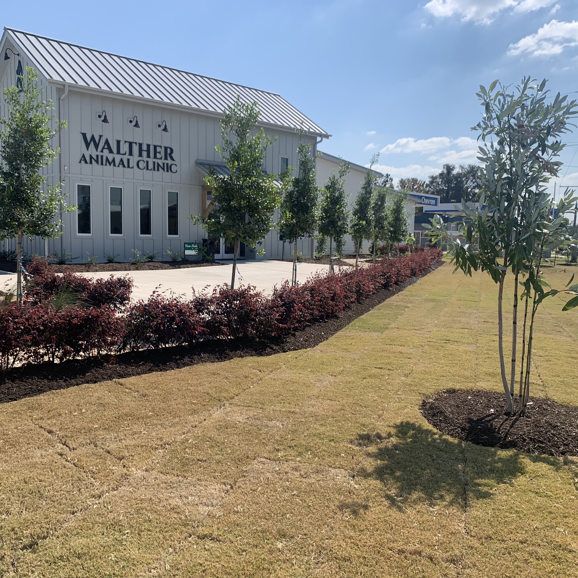 Walther Animal Clinic Houma