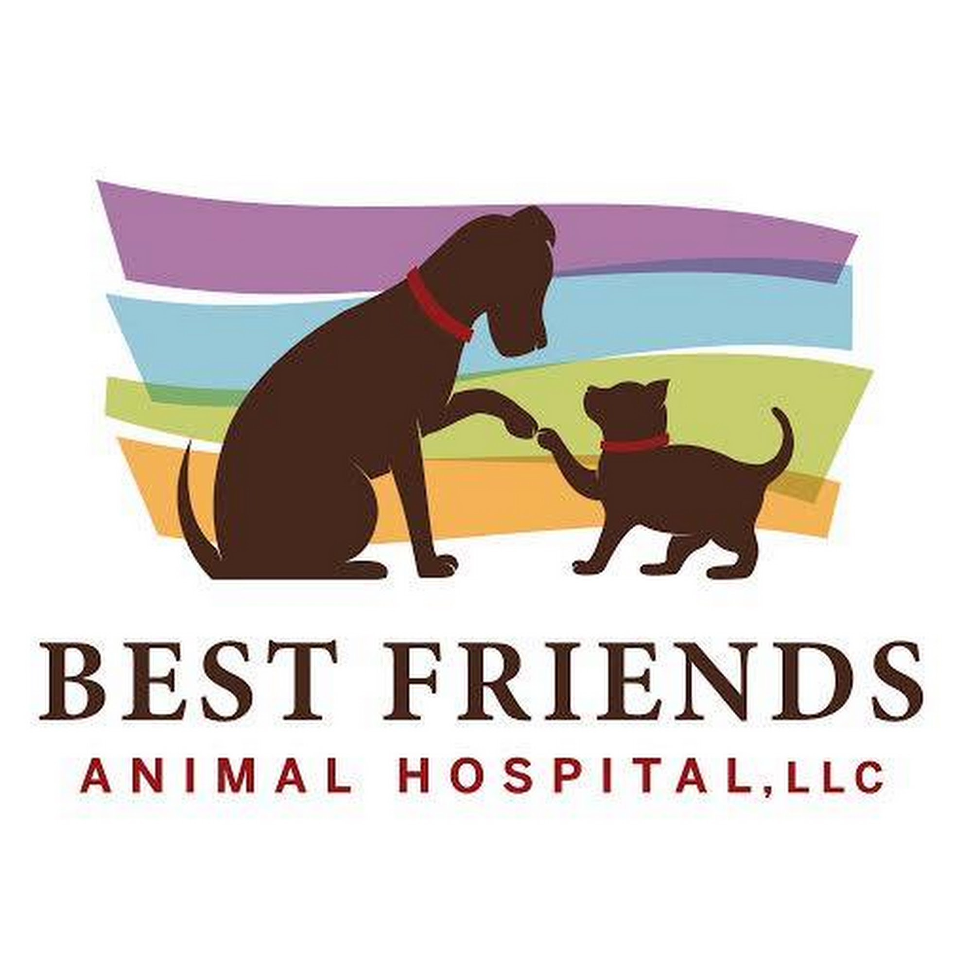Best Friends Animal Hospital Houma