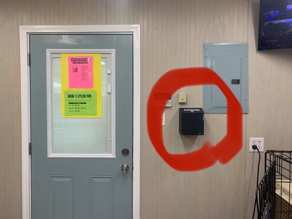 Rachel's Stylish Pup