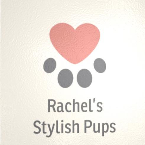 Rachel's Stylish Pup
