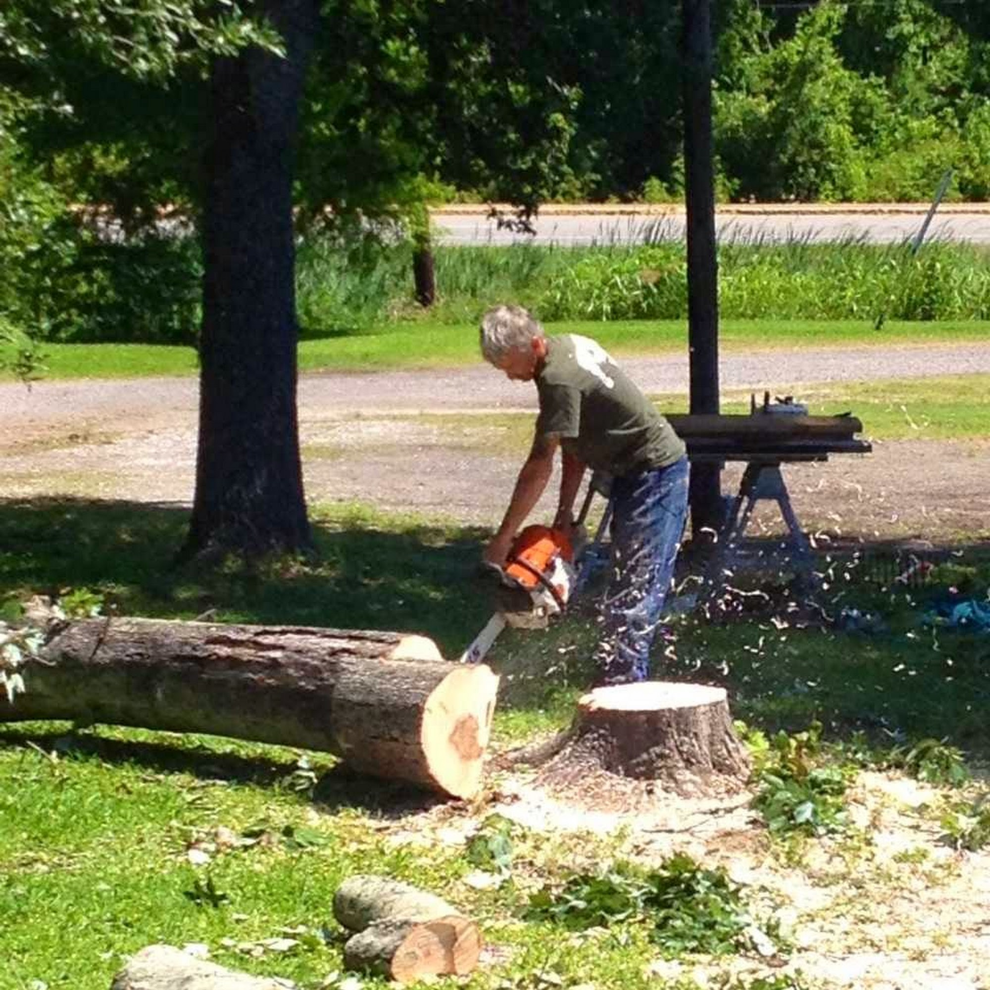 Tree Specialists