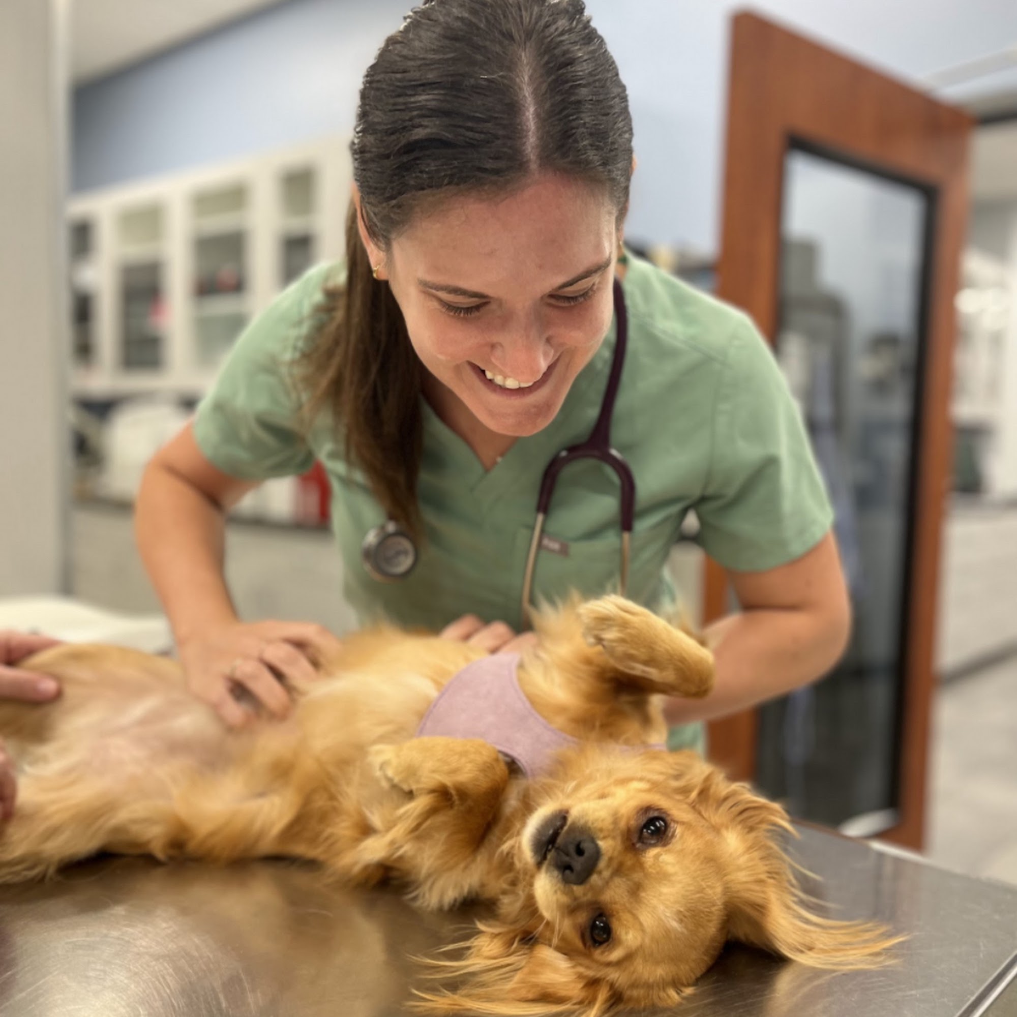 Ark Animal Hospital Jefferson