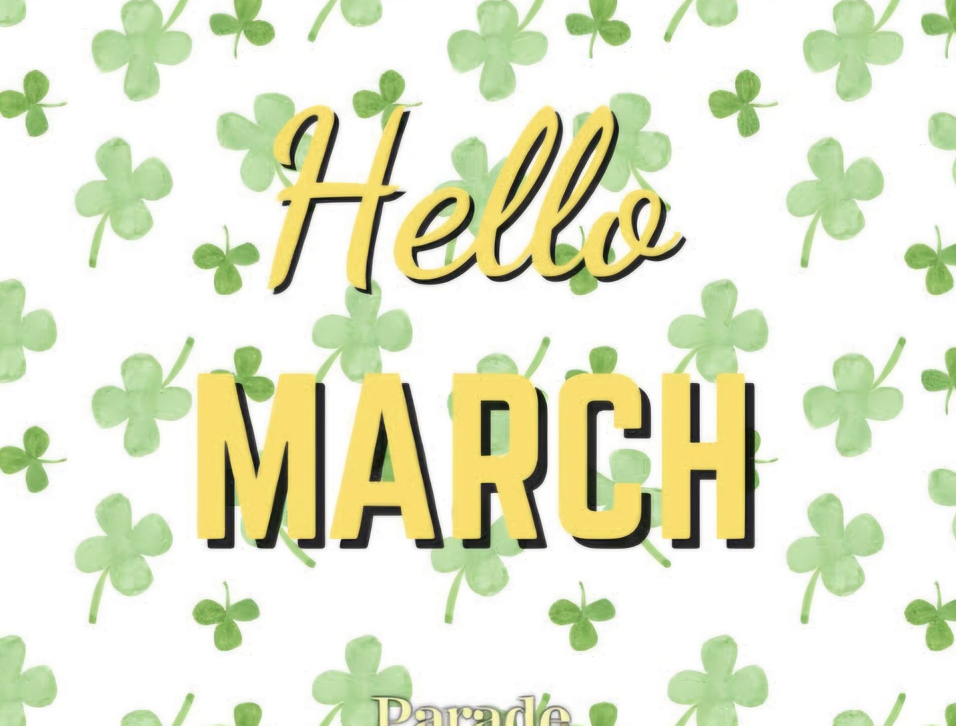 Swamp Dealz Jennings