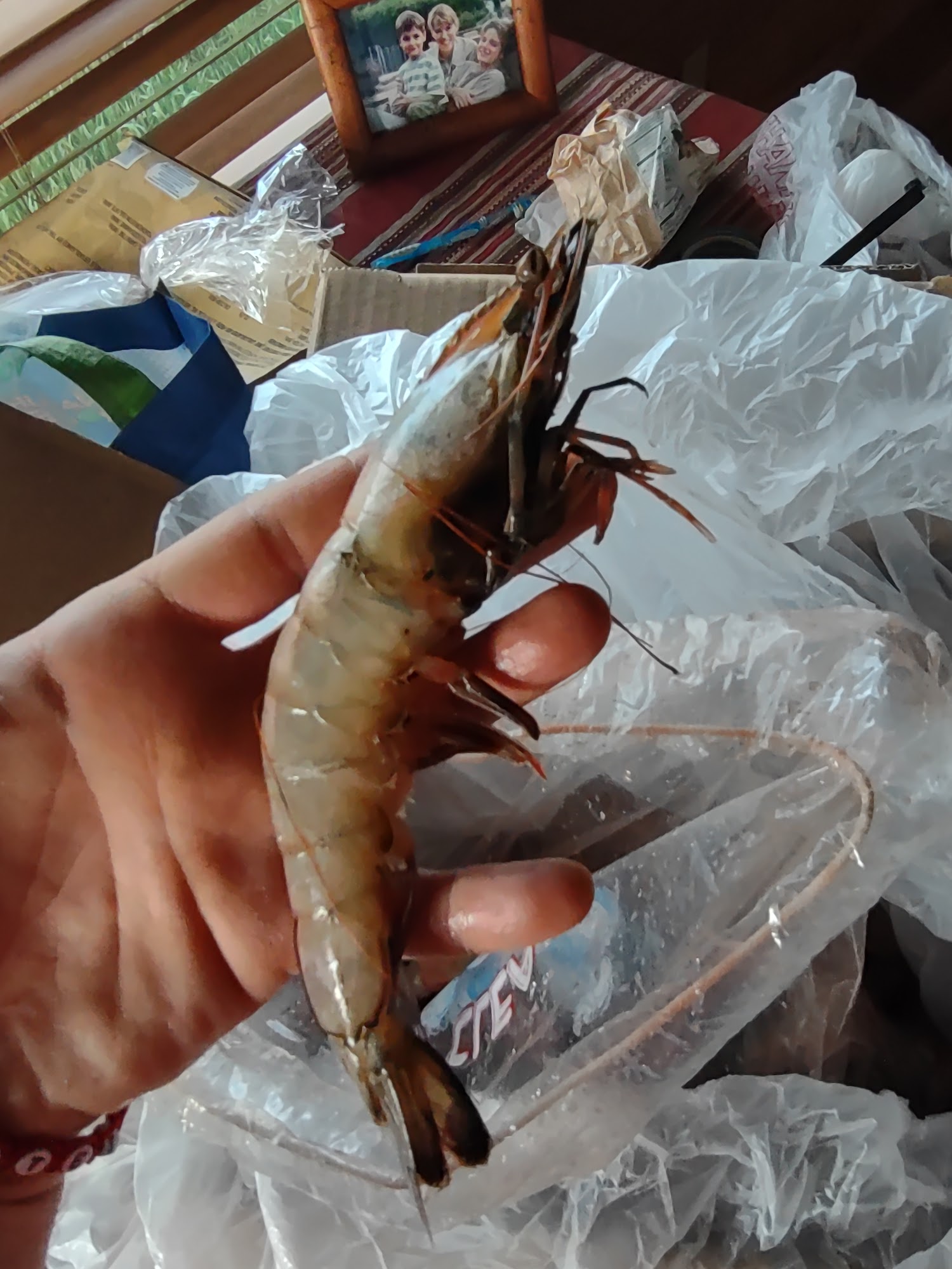 Fisherman's Cove Seafood Kenner