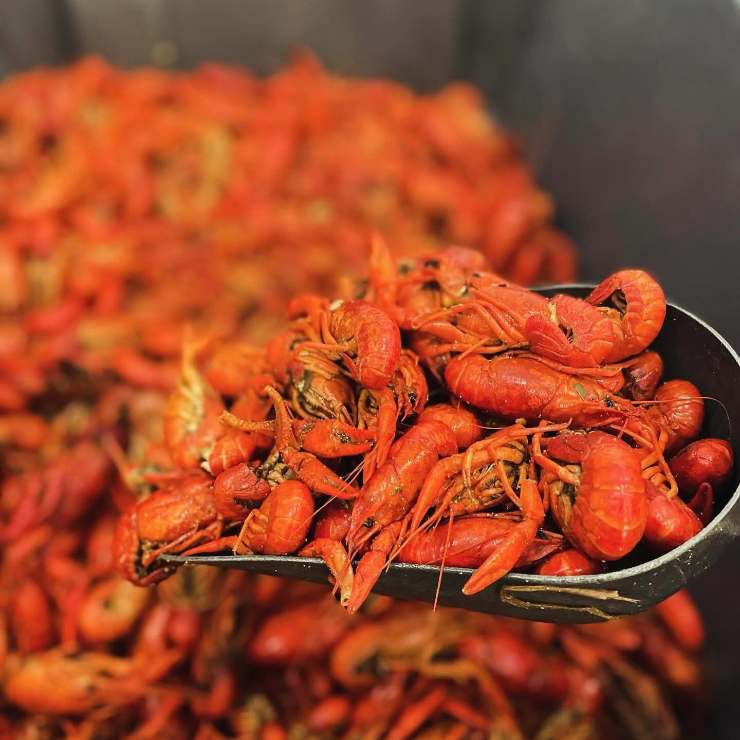 Fisherman's Cove Seafood Kenner