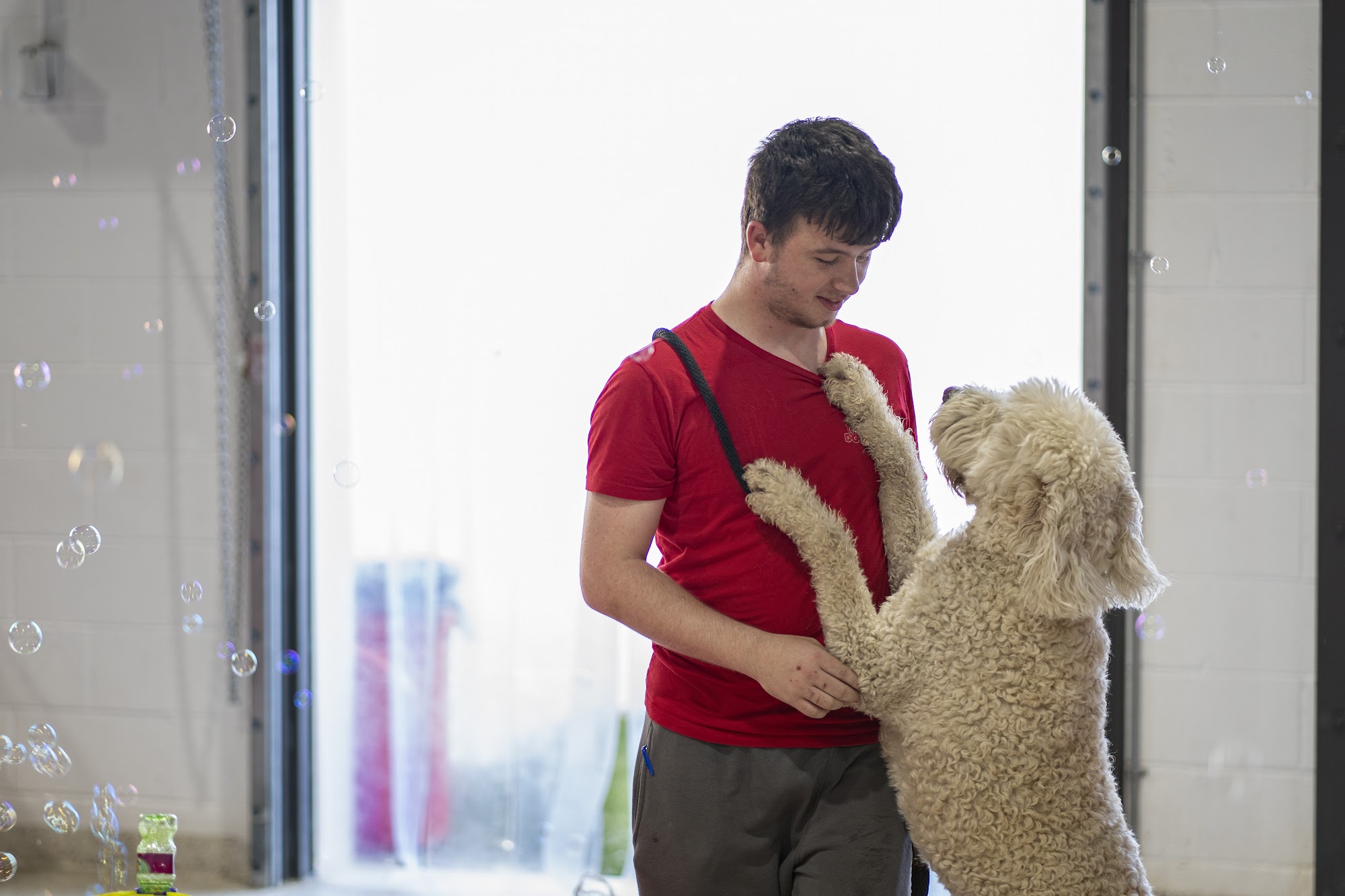 The Dog Stop - Kenner, LA Kenner