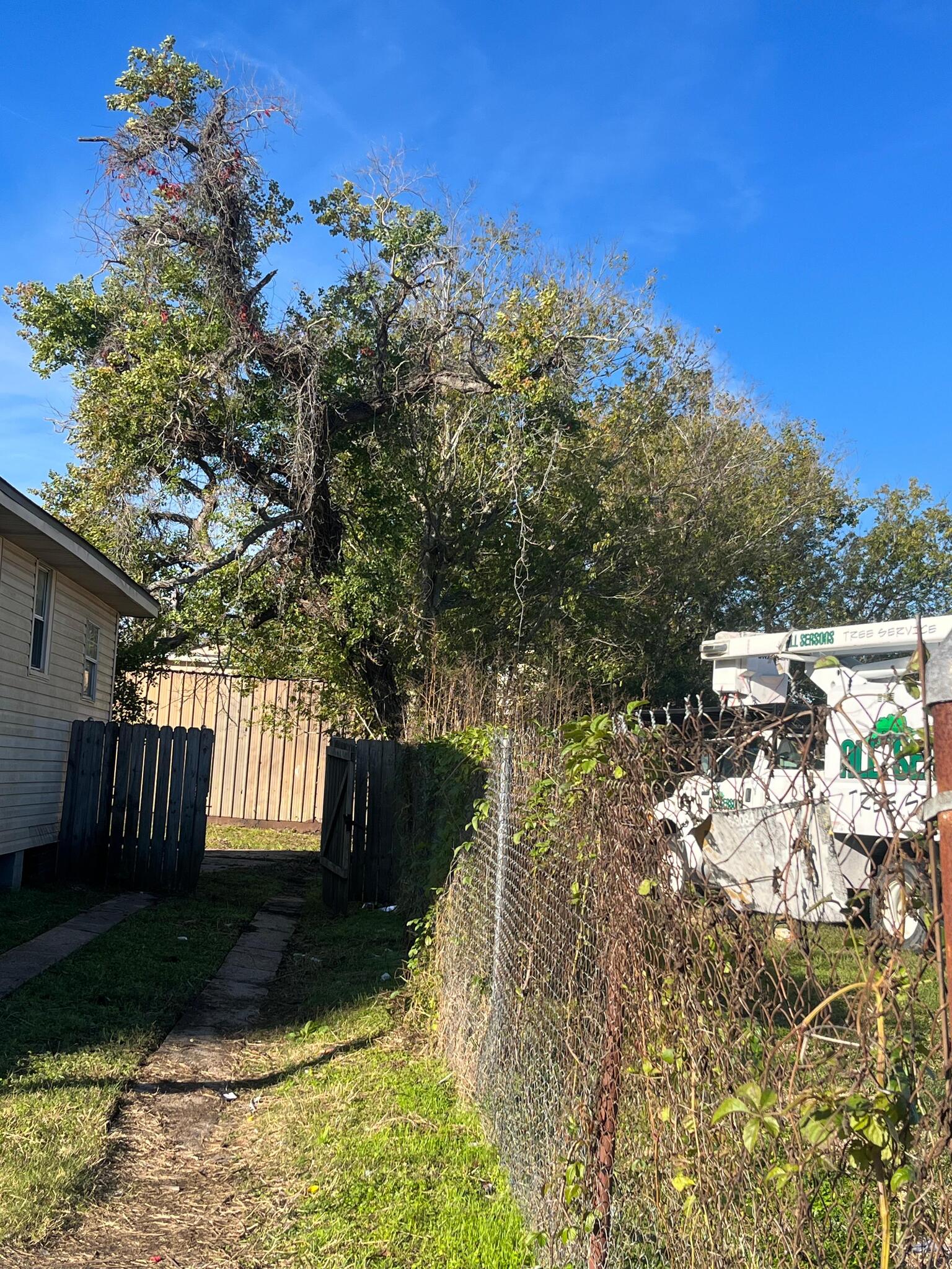 Photo credit: nextdoor